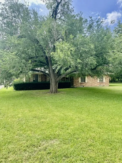 Expansive front yard featuring a mature tree, manicured lawn, and lush shrubbery