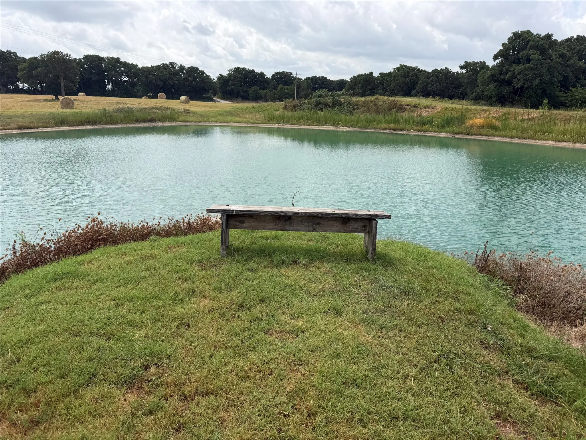 Pond/Tank