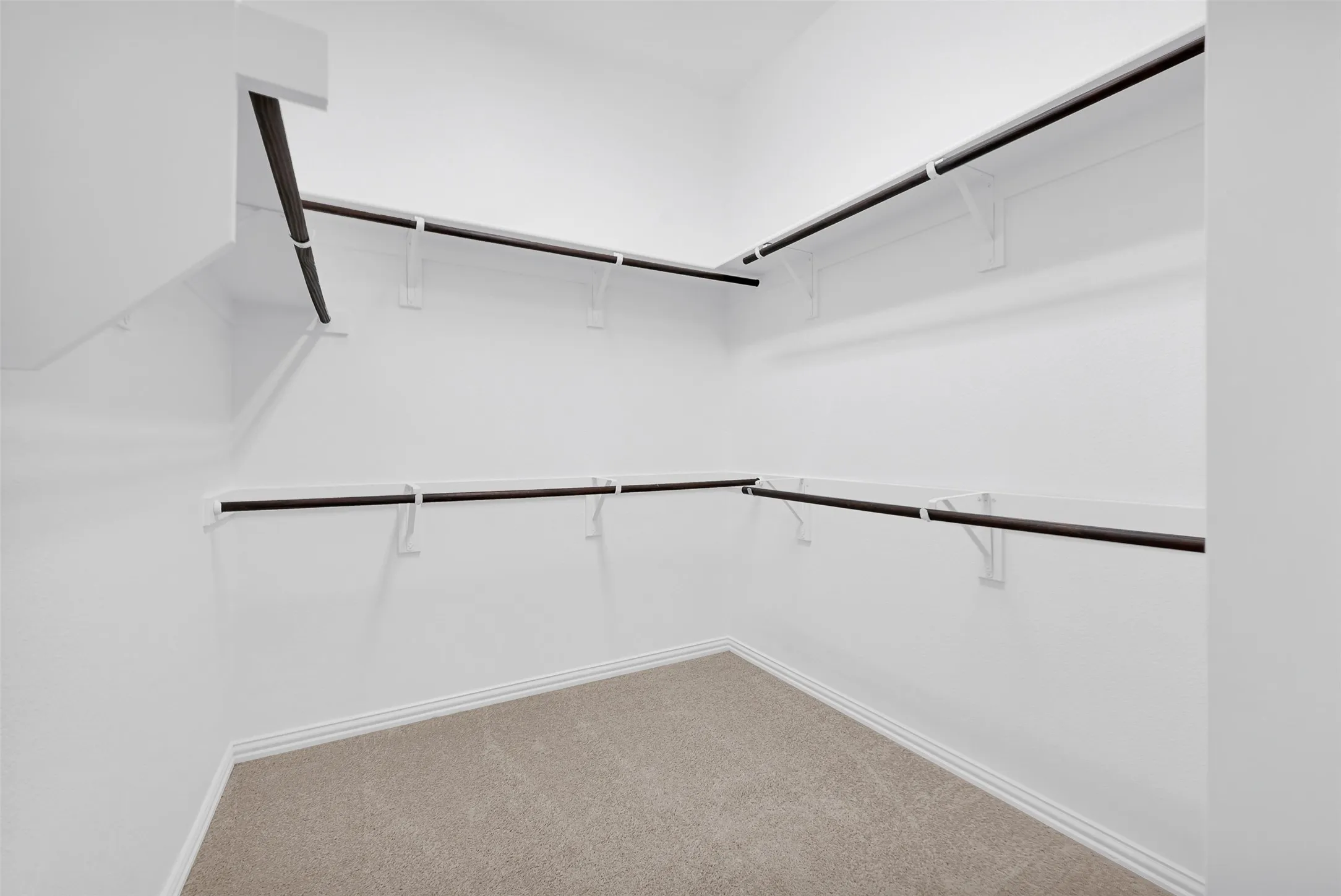 Walk-in closet with beige carpet, white walls, and multi-level shelving with hanging rods