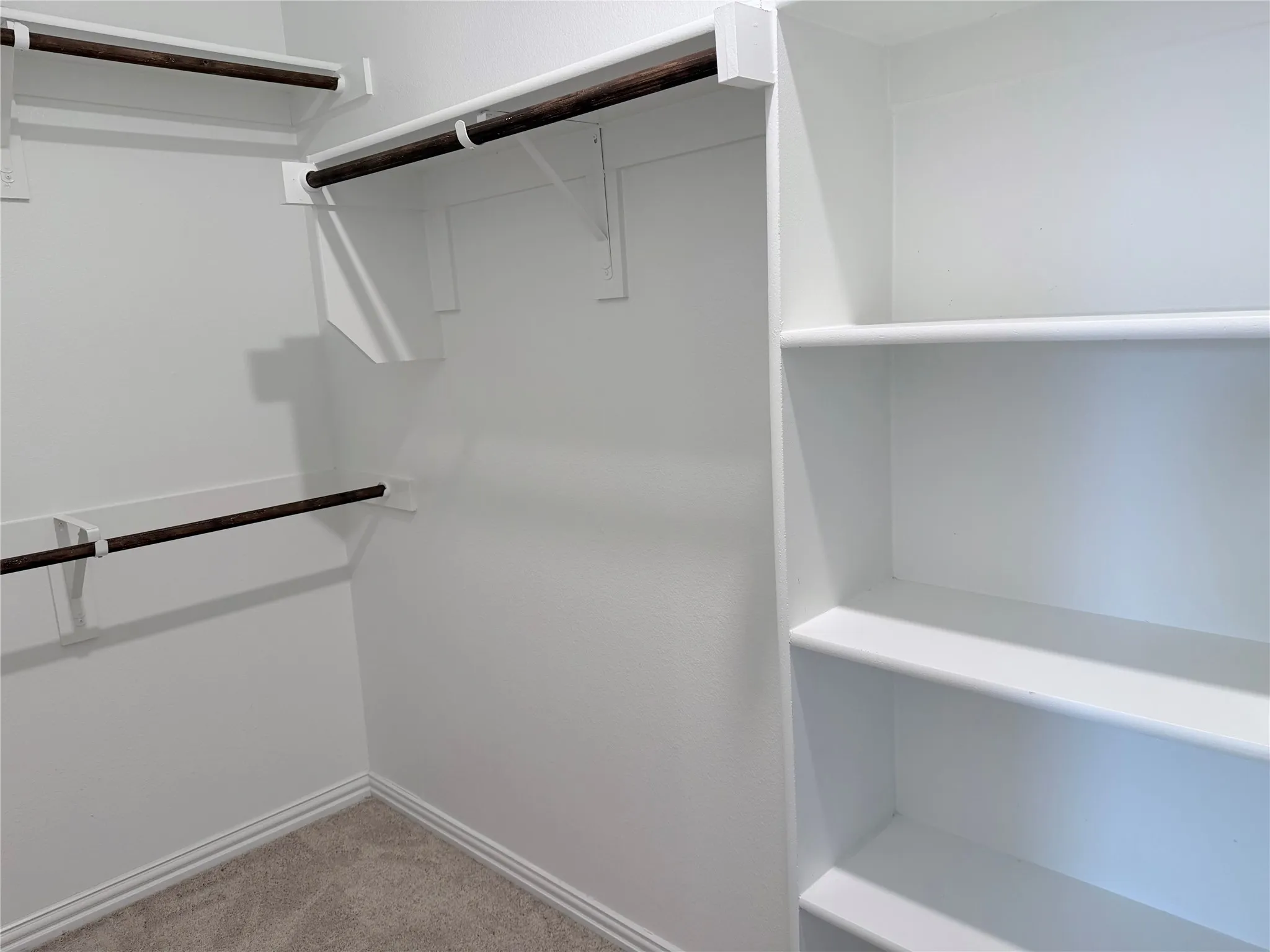 Walk-in closet featuring white walls, multi-level hanging rods, built-in shelving, and carpet flooring