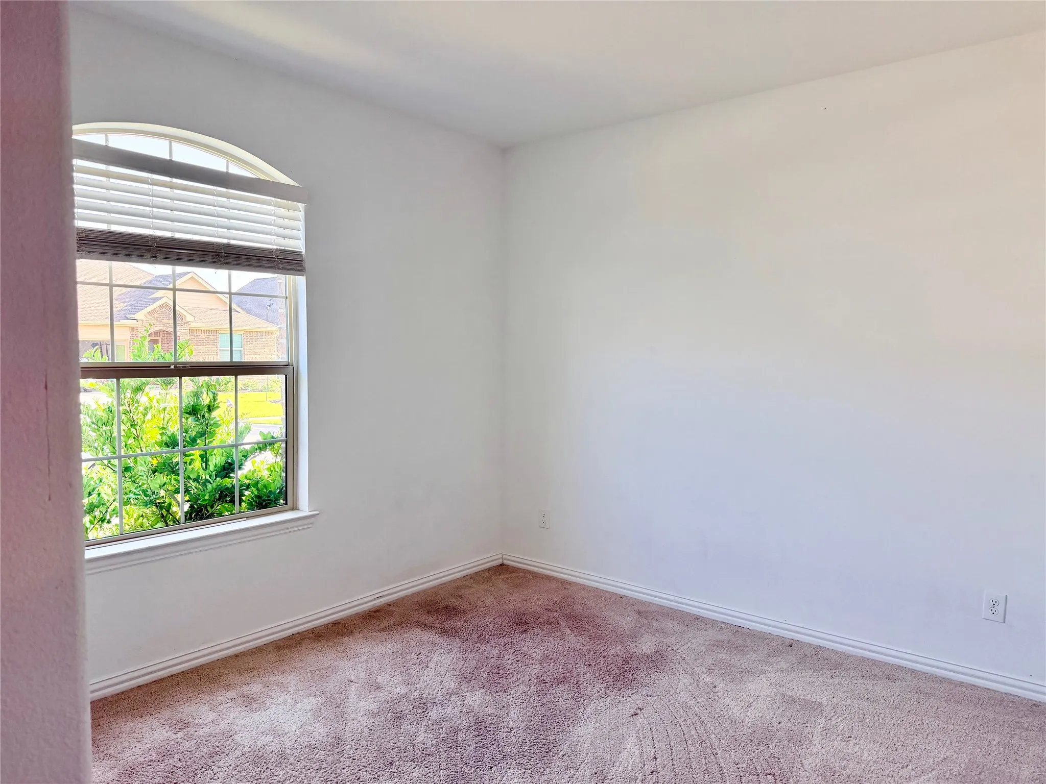 Arched window with blinds and exterior grid detailing