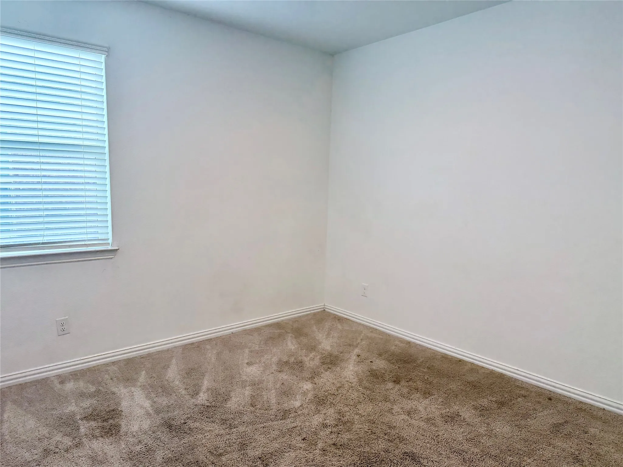 Neutral wall color, window with blinds, carpet flooring, and white trim