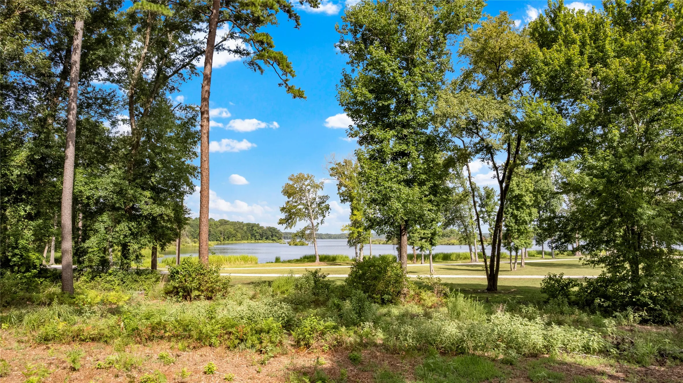 Unimproved Land For Sale in Henderson County , 3168 Shadow Pine Drive, Larue, Texas 75770, 0, 0, Garage spaces, 0 Sqft, built in 0, mls#21335877, Real Estate Agent in Larue, Homes For Sale in Henderson county, Homes For Sale in Larue, Realtor in Larue Texas, Real Estate Brokerage Independent Realty Texas, Luminita Cordes Realtor