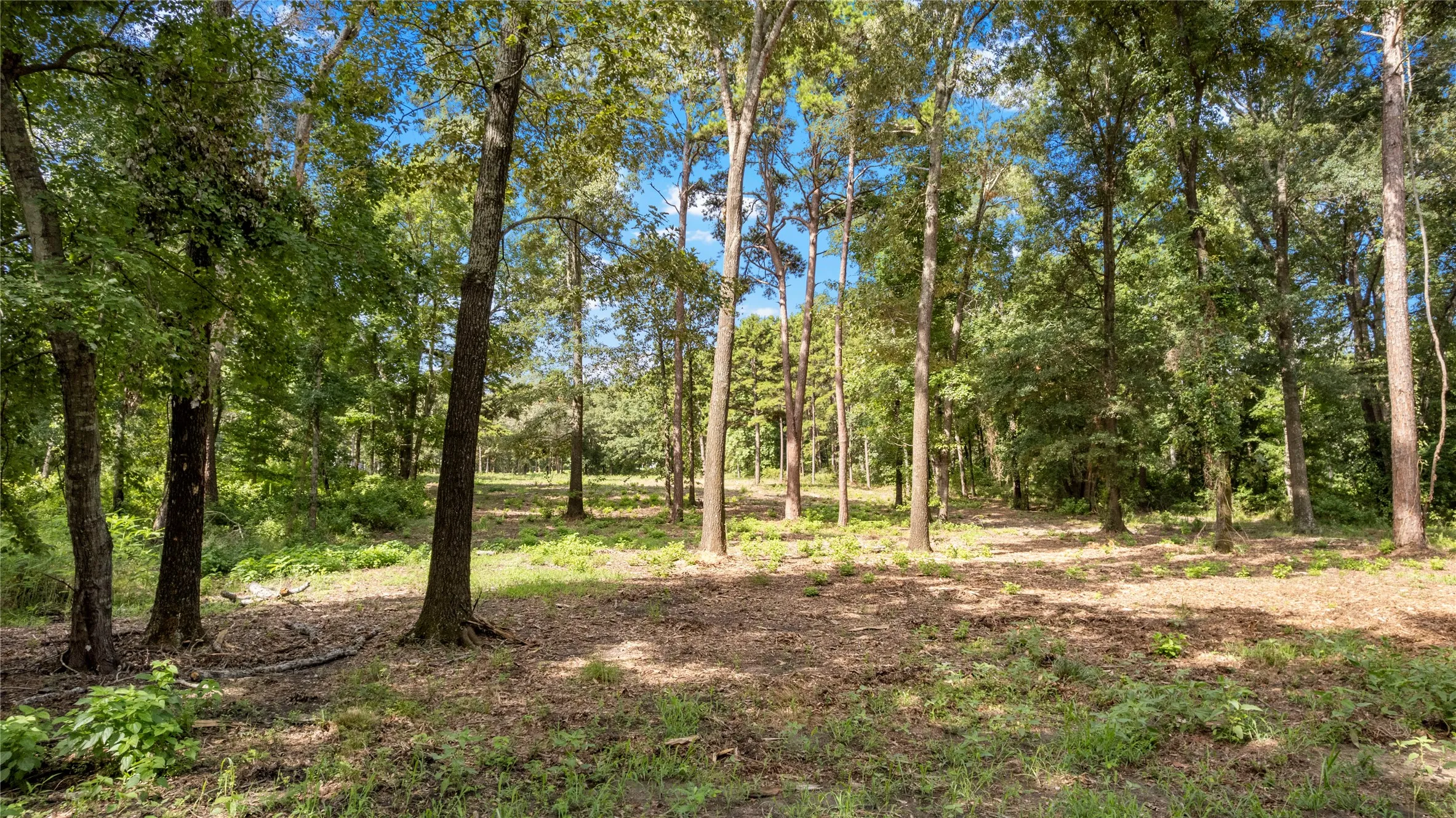 Unimproved Land For Sale in Henderson County , 3168 Shadow Pine Drive, Larue, Texas 75770, 0, 0, Garage spaces, 0 Sqft, built in 0, mls#21335877, Real Estate Agent in Larue, Homes For Sale in Henderson county, Homes For Sale in Larue, Realtor in Larue Texas, Real Estate Brokerage Independent Realty Texas, Luminita Cordes Realtor