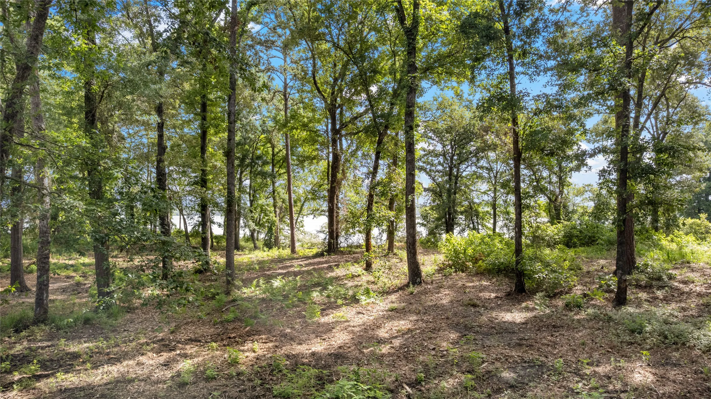 Unimproved Land For Sale in Henderson County , 3168 Shadow Pine Drive, Larue, Texas 75770, 0, 0, Garage spaces, 0 Sqft, built in 0, mls#21335877, Real Estate Agent in Larue, Homes For Sale in Henderson county, Homes For Sale in Larue, Realtor in Larue Texas, Real Estate Brokerage Independent Realty Texas, Luminita Cordes Realtor