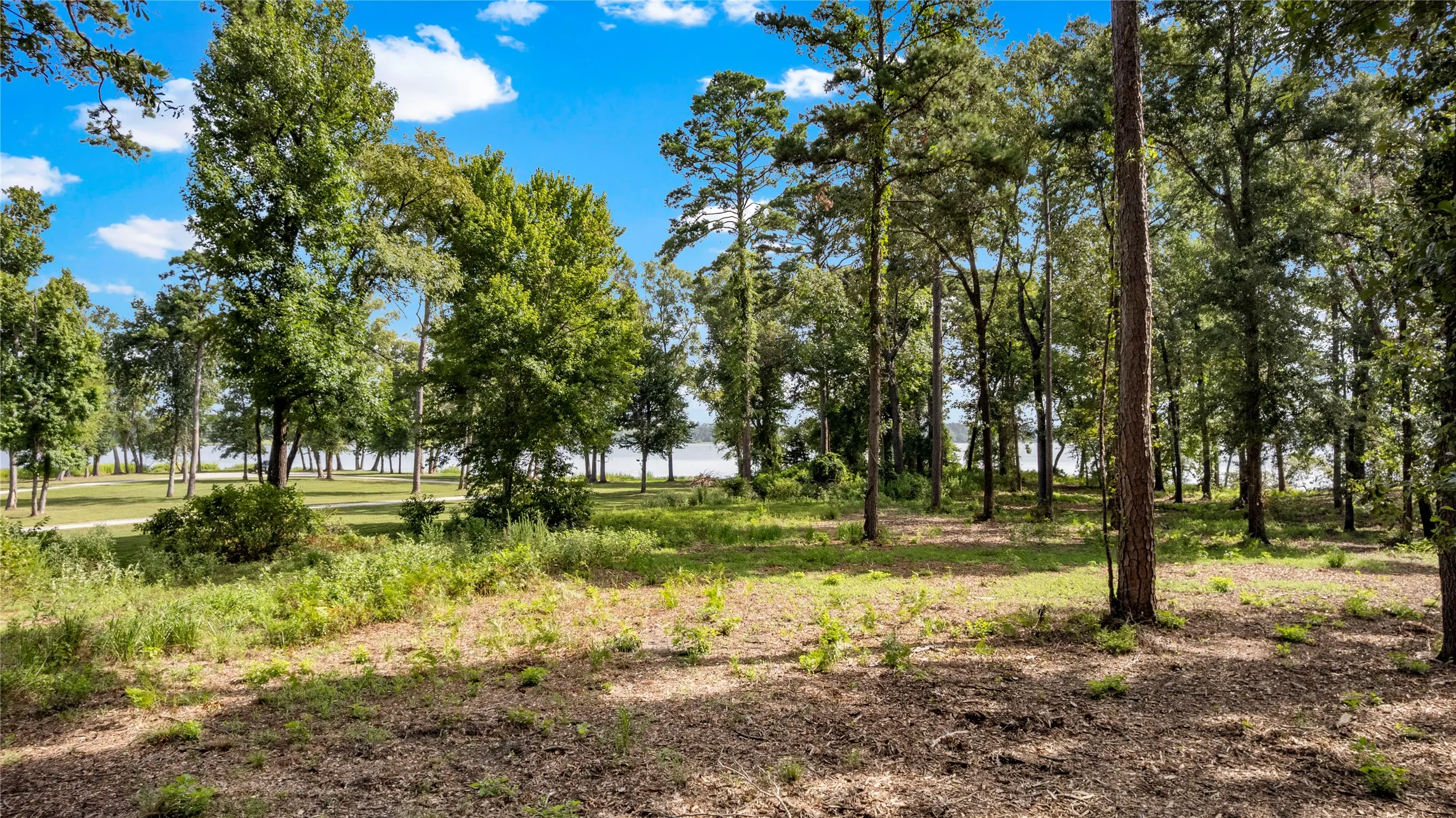 Unimproved Land For Sale in Henderson County , 3168 Shadow Pine Drive, Larue, Texas 75770, 0, 0, Garage spaces, 0 Sqft, built in 0, mls#21335877, Real Estate Agent in Larue, Homes For Sale in Henderson county, Homes For Sale in Larue, Realtor in Larue Texas, Real Estate Brokerage Independent Realty Texas, Luminita Cordes Realtor