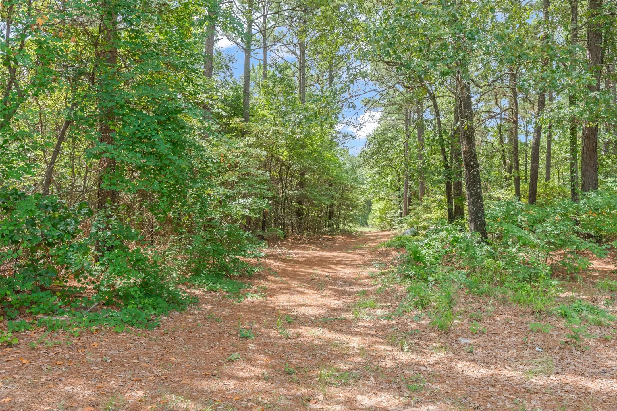 Single Family Residence For Sale in Smith County , 23340 FM 1253, Mineola, Texas 75773, 3 Bedroom, 3 Bathroom, Garage spaces, 2,304 Sqft, built in 2006, mls#21331833, Real Estate Agent in Mineola, Homes For Sale in Smith county, Homes For Sale in Mineola, Realtor in Mineola Texas, Real Estate Brokerage Independent Realty Texas, Luminita Cordes Realtor