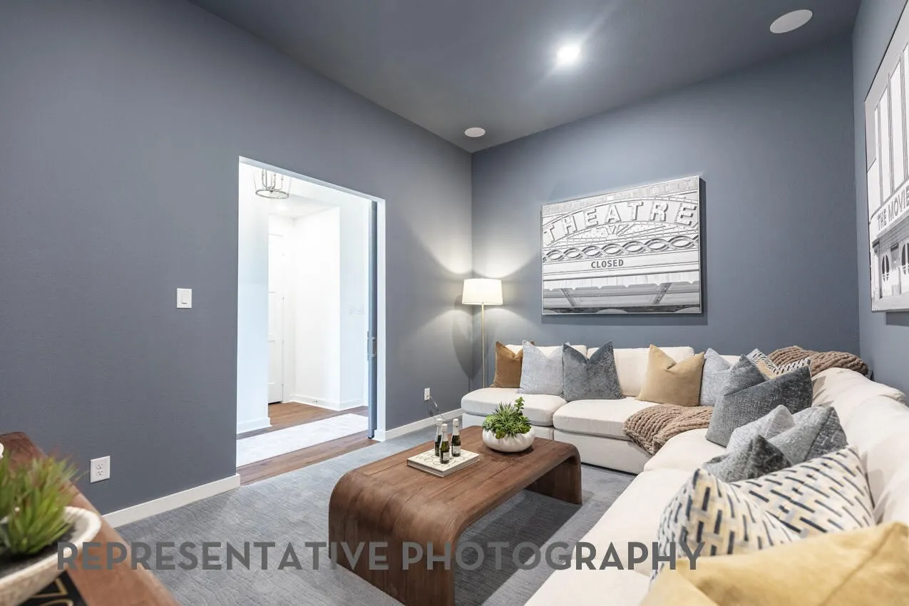 Entertainment Room