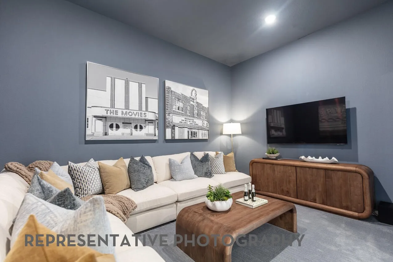 Entertainment Room