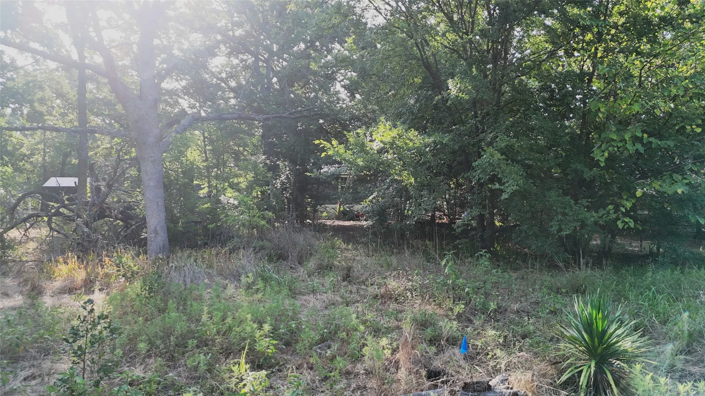 Improved Land For Sale in Hunt County , TBD Cherokee Trail, Hawk Cove, Texas 75474, 0, 0, Garage spaces, 0 Sqft, built in 0, mls#21327704, Real Estate Agent in Hawk Cove, Homes For Sale in Hunt county, Homes For Sale in Hawk Cove, Realtor in Hawk Cove Texas, Real Estate Brokerage Independent Realty Texas, Luminita Cordes Realtor