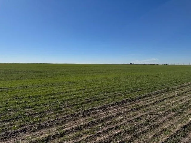 Improved Land For Sale in Taylor County , TBD Mesquite Ln, Abilene, Texas 79601, 0, 0, Garage spaces, 0 Sqft, built in 2000, mls#21335998, Real Estate Agent in Abilene, Homes For Sale in Taylor county, Homes For Sale in Abilene, Realtor in Abilene Texas, Real Estate Brokerage Independent Realty Texas, Luminita Cordes Realtor