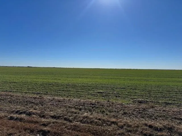 Improved Land For Sale in Taylor County , TBD Mesquite Ln, Abilene, Texas 79601, 0, 0, Garage spaces, 0 Sqft, built in 2000, mls#21335998, Real Estate Agent in Abilene, Homes For Sale in Taylor county, Homes For Sale in Abilene, Realtor in Abilene Texas, Real Estate Brokerage Independent Realty Texas, Luminita Cordes Realtor