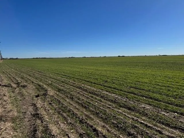 Improved Land For Sale in Taylor County , TBD Mesquite Ln, Abilene, Texas 79601, 0, 0, Garage spaces, 0 Sqft, built in 2000, mls#21335998, Real Estate Agent in Abilene, Homes For Sale in Taylor county, Homes For Sale in Abilene, Realtor in Abilene Texas, Real Estate Brokerage Independent Realty Texas, Luminita Cordes Realtor