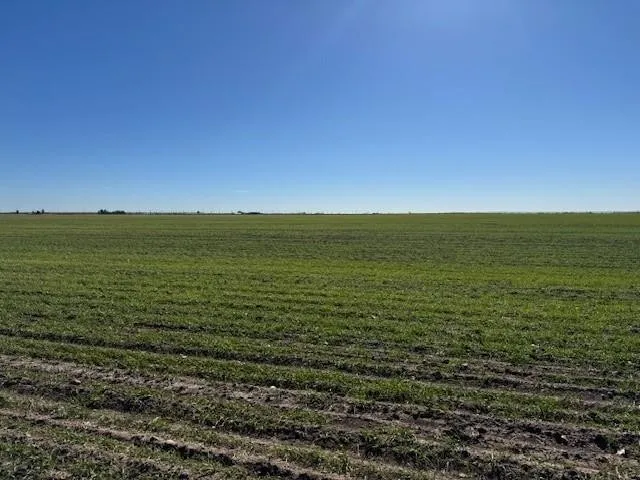 Improved Land For Sale in Taylor County , TBD Mesquite Ln, Abilene, Texas 79601, 0, 0, Garage spaces, 0 Sqft, built in 2000, mls#21335998, Real Estate Agent in Abilene, Homes For Sale in Taylor county, Homes For Sale in Abilene, Realtor in Abilene Texas, Real Estate Brokerage Independent Realty Texas, Luminita Cordes Realtor