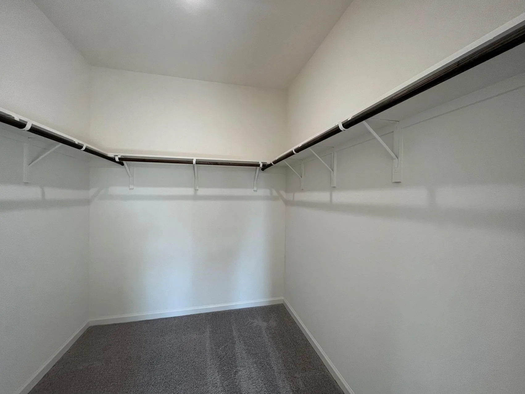 Walk in closet with dark colored carpet