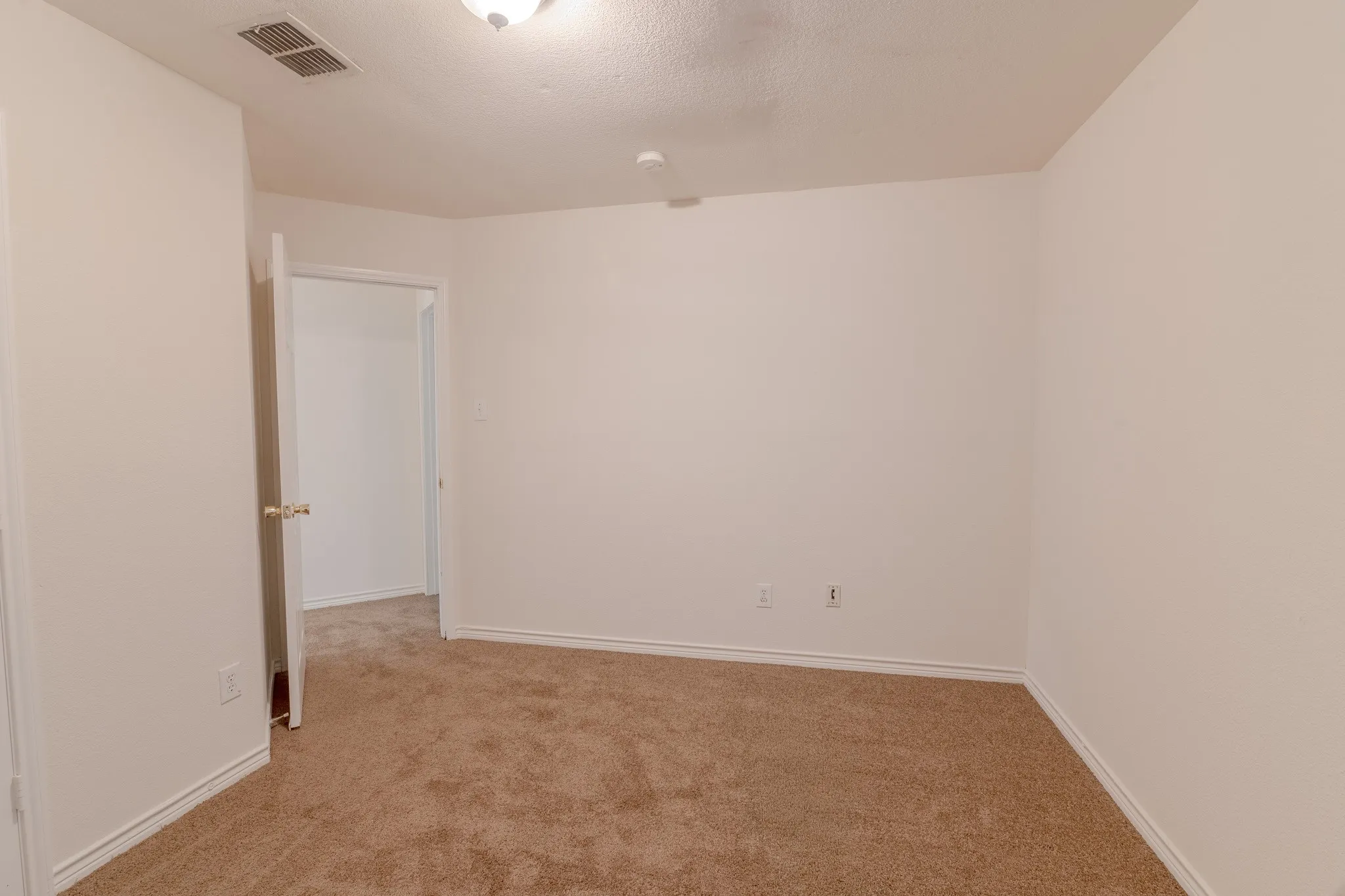 Carpeted room with white walls and trim