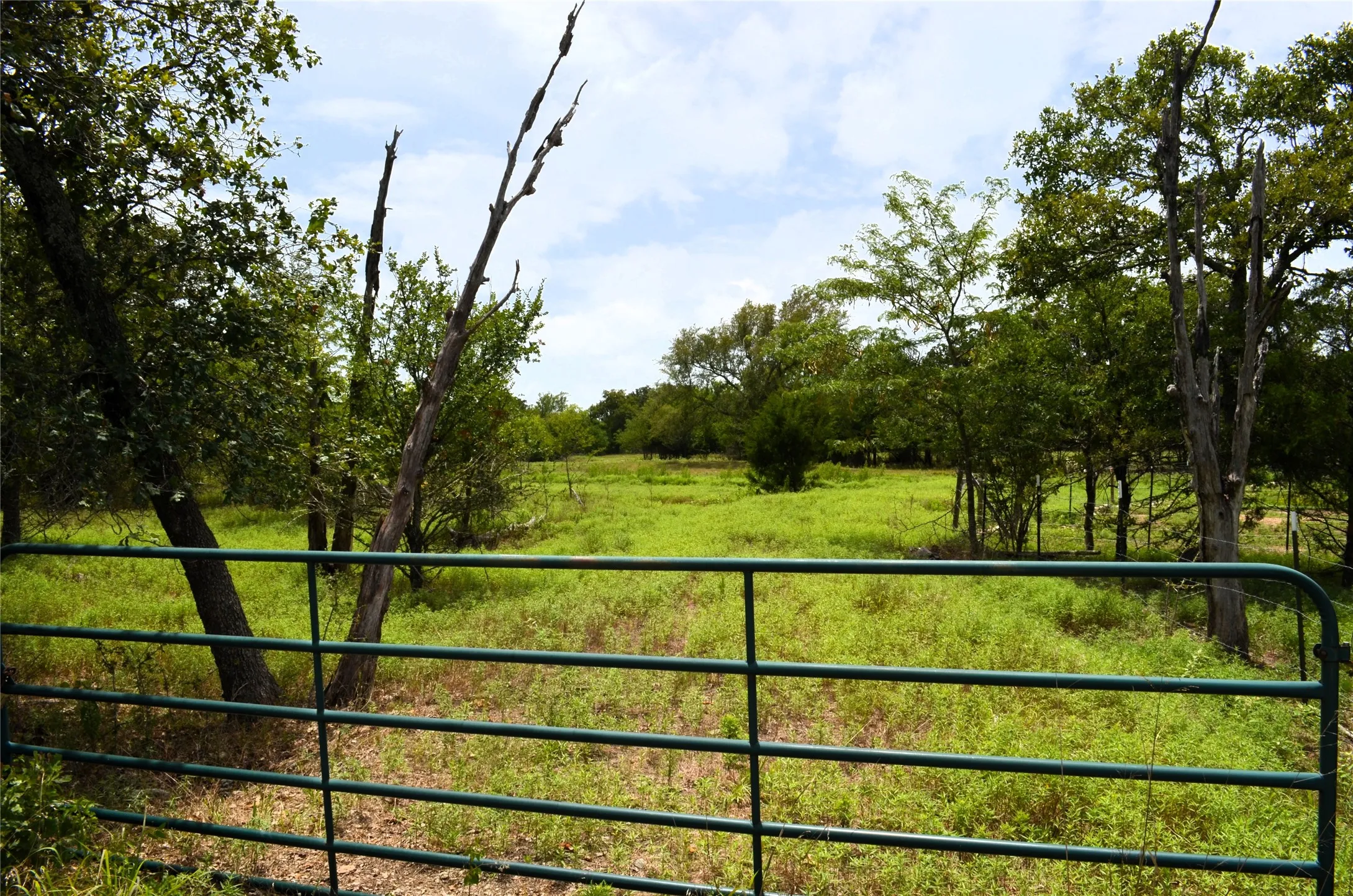 Ranch For Sale in Van Zandt County , 34302 FM 47, Mabank, Texas 75147, 0, 0, Garage spaces, 0 Sqft, built in 0, Price $199,000, mls#21336029, Real Estate Agent in Mabank, Homes For Sale in Van Zandt county, Homes For Sale in Mabank, Realtor in Mabank Texas, Real Estate Brokerage Independent Realty Texas, Luminita Cordes Realtor