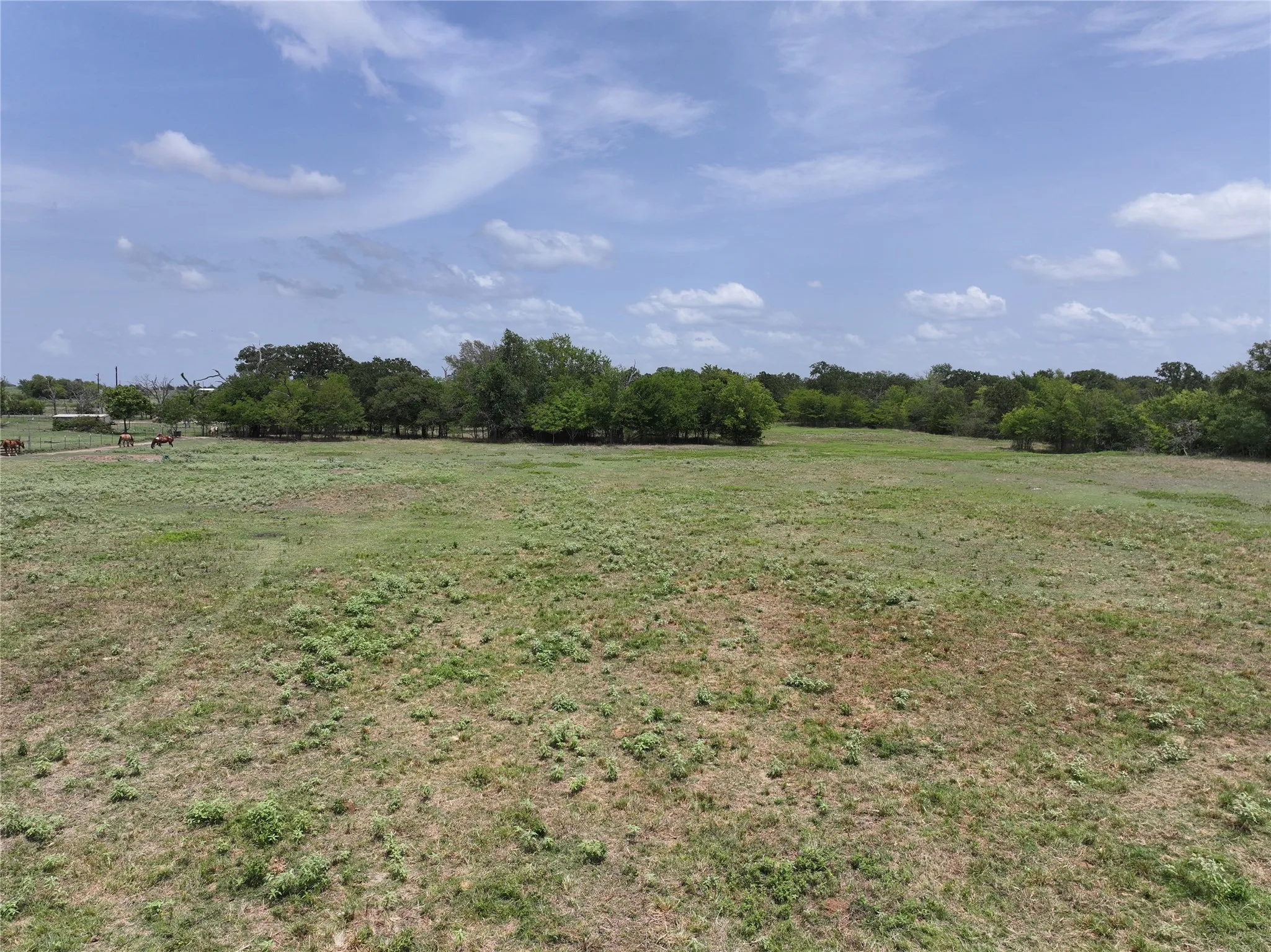 Ranch For Sale in Van Zandt County , 34302 FM 47, Mabank, Texas 75147, 0, 0, Garage spaces, 0 Sqft, built in 0, Price $199,000, mls#21336029, Real Estate Agent in Mabank, Homes For Sale in Van Zandt county, Homes For Sale in Mabank, Realtor in Mabank Texas, Real Estate Brokerage Independent Realty Texas, Luminita Cordes Realtor