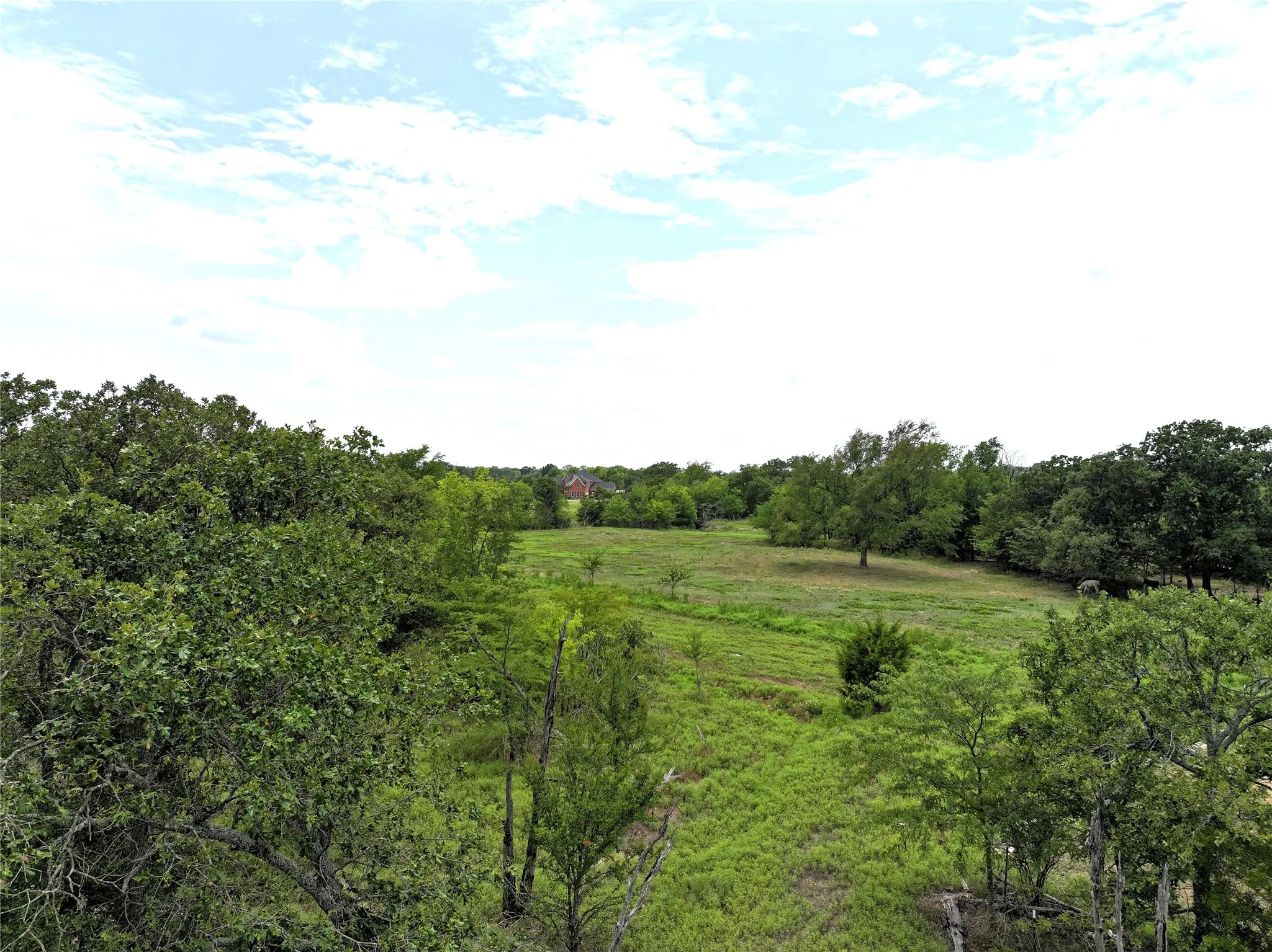 Ranch For Sale in Van Zandt County , 34302 FM 47, Mabank, Texas 75147, 0, 0, Garage spaces, 0 Sqft, built in 0, Price $199,000, mls#21336029, Real Estate Agent in Mabank, Homes For Sale in Van Zandt county, Homes For Sale in Mabank, Realtor in Mabank Texas, Real Estate Brokerage Independent Realty Texas, Luminita Cordes Realtor