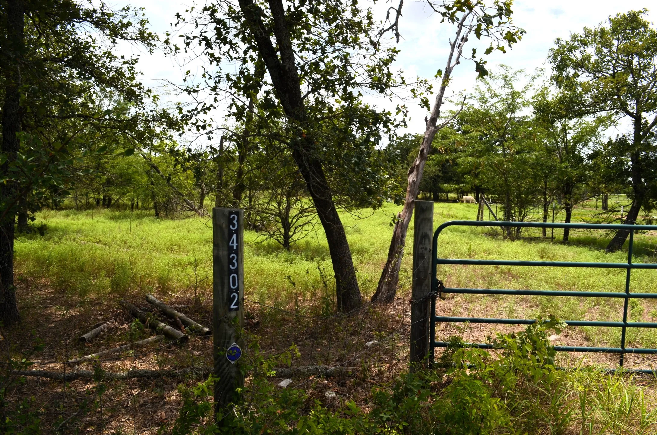 Ranch For Sale in Van Zandt County , 34302 FM 47, Mabank, Texas 75147, 0, 0, Garage spaces, 0 Sqft, built in 0, Price $199,000, mls#21336029, Real Estate Agent in Mabank, Homes For Sale in Van Zandt county, Homes For Sale in Mabank, Realtor in Mabank Texas, Real Estate Brokerage Independent Realty Texas, Luminita Cordes Realtor