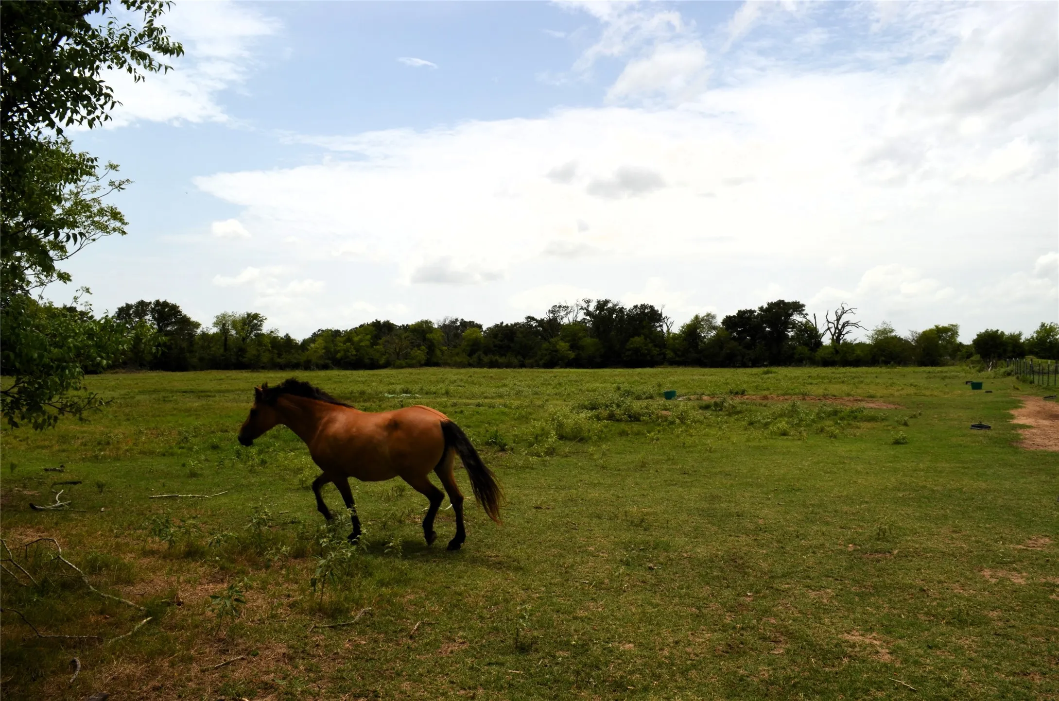 Ranch For Sale in Van Zandt County , 34302 FM 47, Mabank, Texas 75147, 0, 0, Garage spaces, 0 Sqft, built in 0, Price $199,000, mls#21336029, Real Estate Agent in Mabank, Homes For Sale in Van Zandt county, Homes For Sale in Mabank, Realtor in Mabank Texas, Real Estate Brokerage Independent Realty Texas, Luminita Cordes Realtor