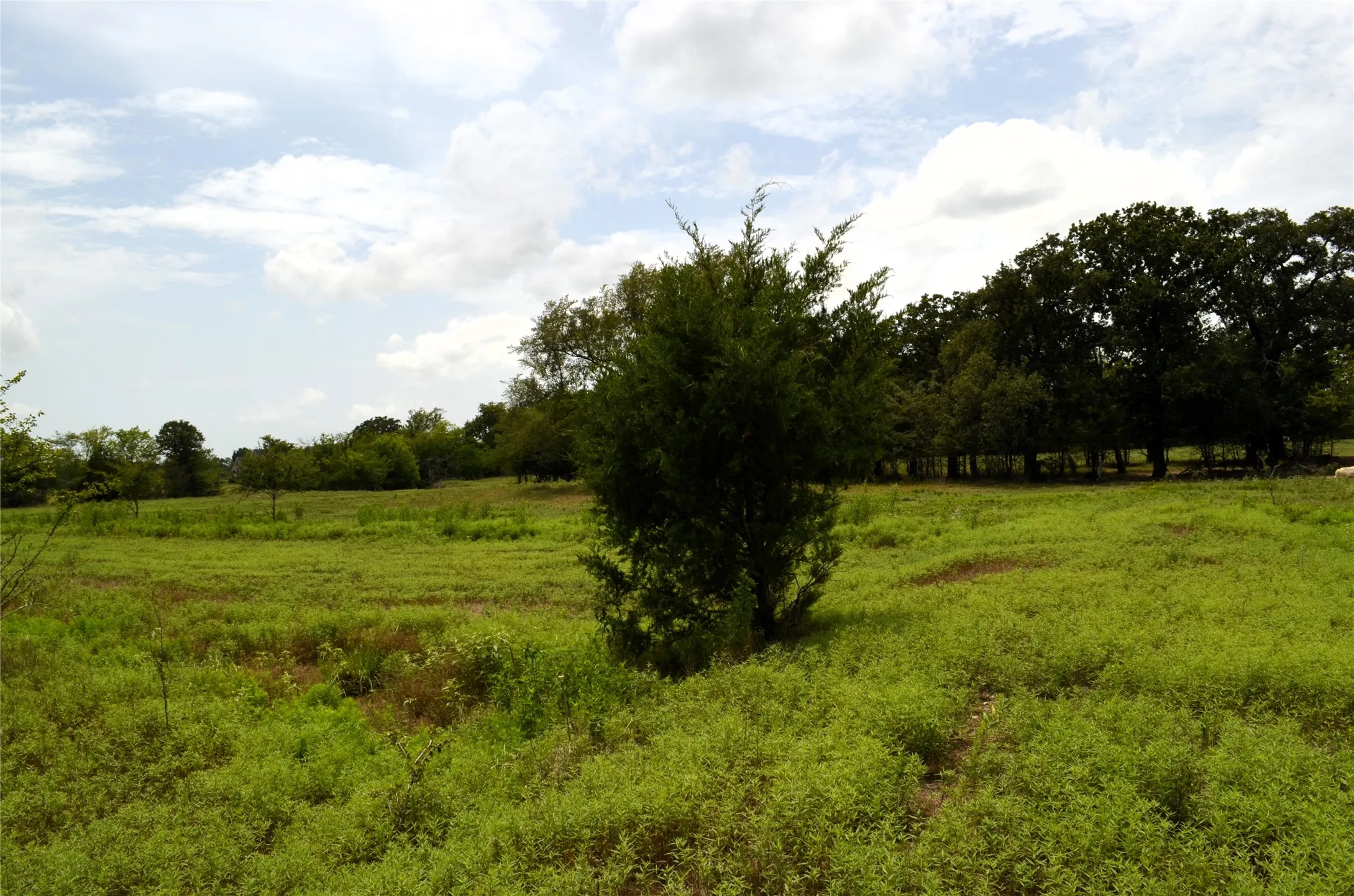 Ranch For Sale in Van Zandt County , 34302 FM 47, Mabank, Texas 75147, 0, 0, Garage spaces, 0 Sqft, built in 0, Price $199,000, mls#21336029, Real Estate Agent in Mabank, Homes For Sale in Van Zandt county, Homes For Sale in Mabank, Realtor in Mabank Texas, Real Estate Brokerage Independent Realty Texas, Luminita Cordes Realtor