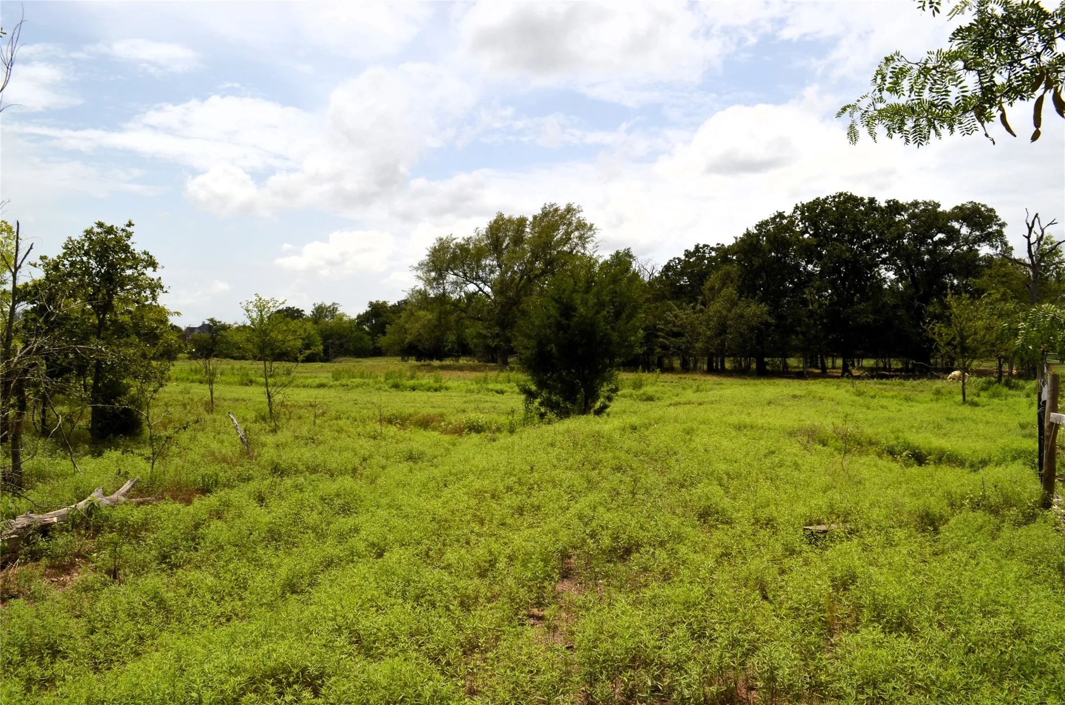 Ranch For Sale in Van Zandt County , 34302 FM 47, Mabank, Texas 75147, 0, 0, Garage spaces, 0 Sqft, built in 0, Price $199,000, mls#21336029, Real Estate Agent in Mabank, Homes For Sale in Van Zandt county, Homes For Sale in Mabank, Realtor in Mabank Texas, Real Estate Brokerage Independent Realty Texas, Luminita Cordes Realtor