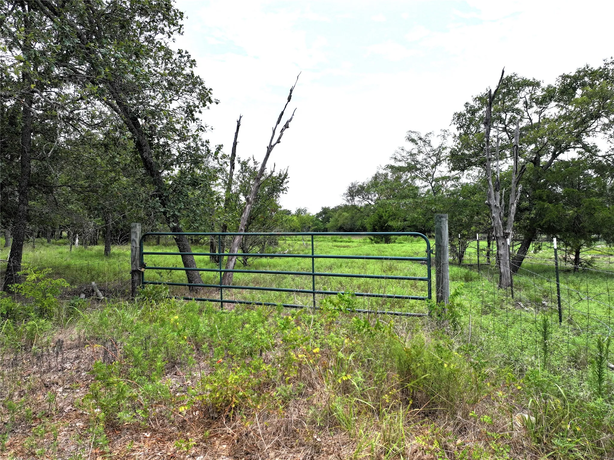 Ranch For Sale in Van Zandt County , 34302 FM 47, Mabank, Texas 75147, 0, 0, Garage spaces, 0 Sqft, built in 0, Price $199,000, mls#21336029, Real Estate Agent in Mabank, Homes For Sale in Van Zandt county, Homes For Sale in Mabank, Realtor in Mabank Texas, Real Estate Brokerage Independent Realty Texas, Luminita Cordes Realtor