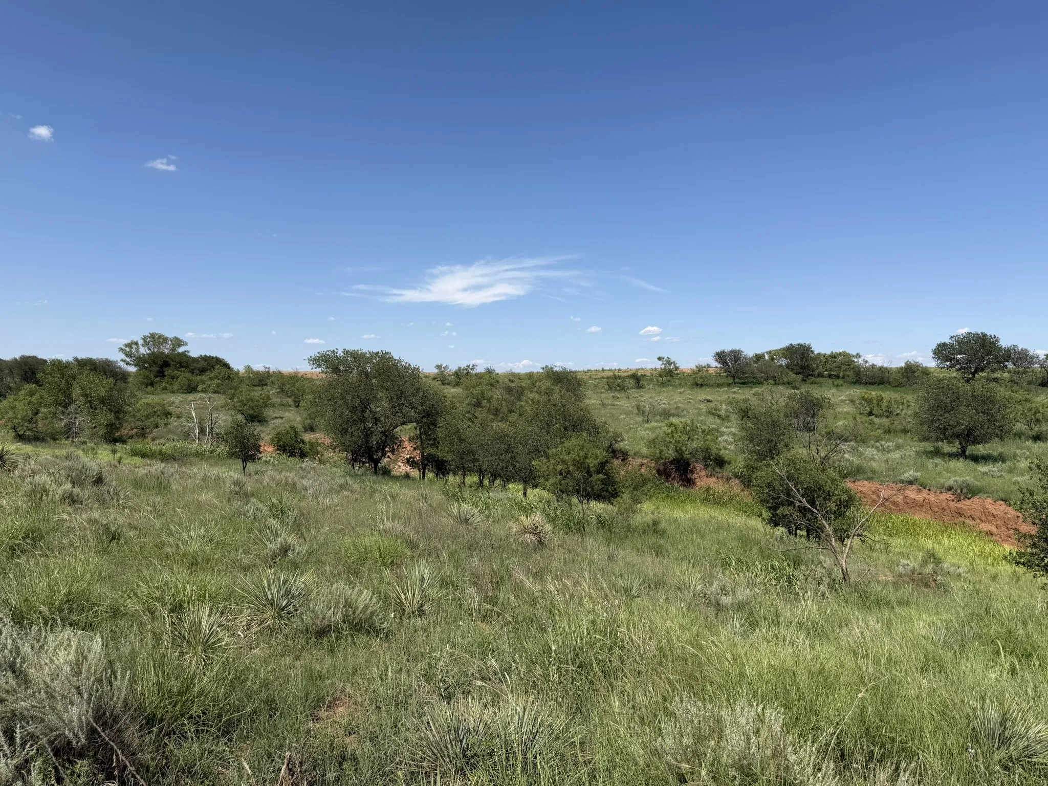 Ranch For Sale in Collingsworth County , 15400 County Road I, Wellington, Texas 79079, 0, 0, Garage spaces, 0 Sqft, built in 1930, mls#21335914, Real Estate Agent in Wellington, Homes For Sale in Collingsworth county, Homes For Sale in Wellington, Realtor in Wellington Texas, Real Estate Brokerage Independent Realty Texas, Luminita Cordes Realtor