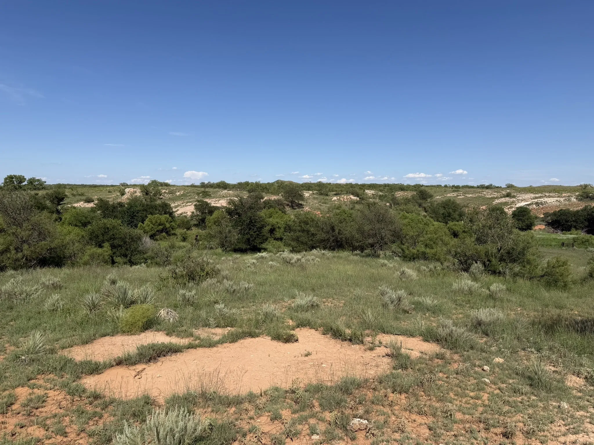 Ranch For Sale in Collingsworth County , 15400 County Road I, Wellington, Texas 79079, 0, 0, Garage spaces, 0 Sqft, built in 1930, mls#21335914, Real Estate Agent in Wellington, Homes For Sale in Collingsworth county, Homes For Sale in Wellington, Realtor in Wellington Texas, Real Estate Brokerage Independent Realty Texas, Luminita Cordes Realtor