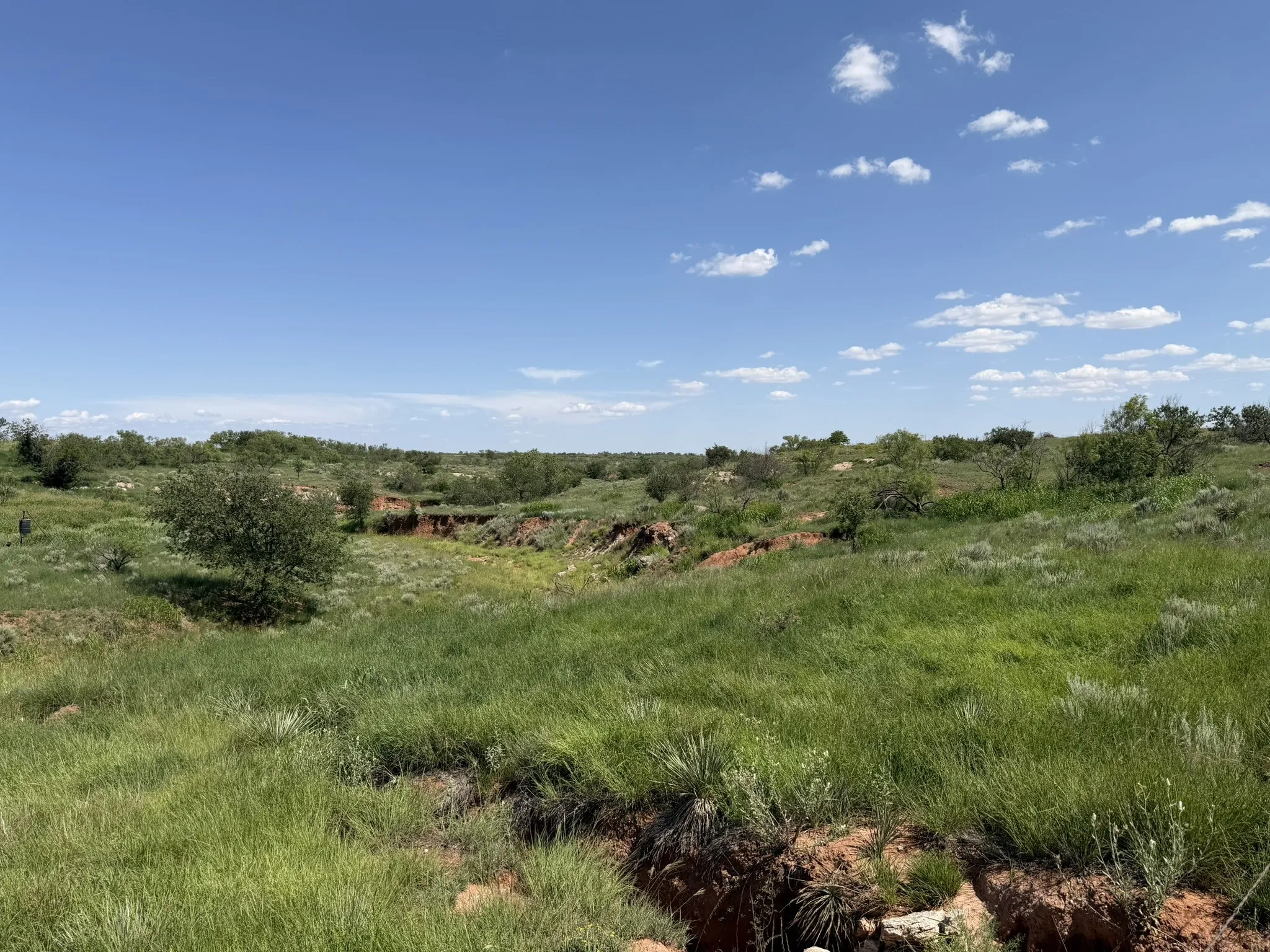 Ranch For Sale in Collingsworth County , 15400 County Road I, Wellington, Texas 79079, 0, 0, Garage spaces, 0 Sqft, built in 1930, mls#21335914, Real Estate Agent in Wellington, Homes For Sale in Collingsworth county, Homes For Sale in Wellington, Realtor in Wellington Texas, Real Estate Brokerage Independent Realty Texas, Luminita Cordes Realtor