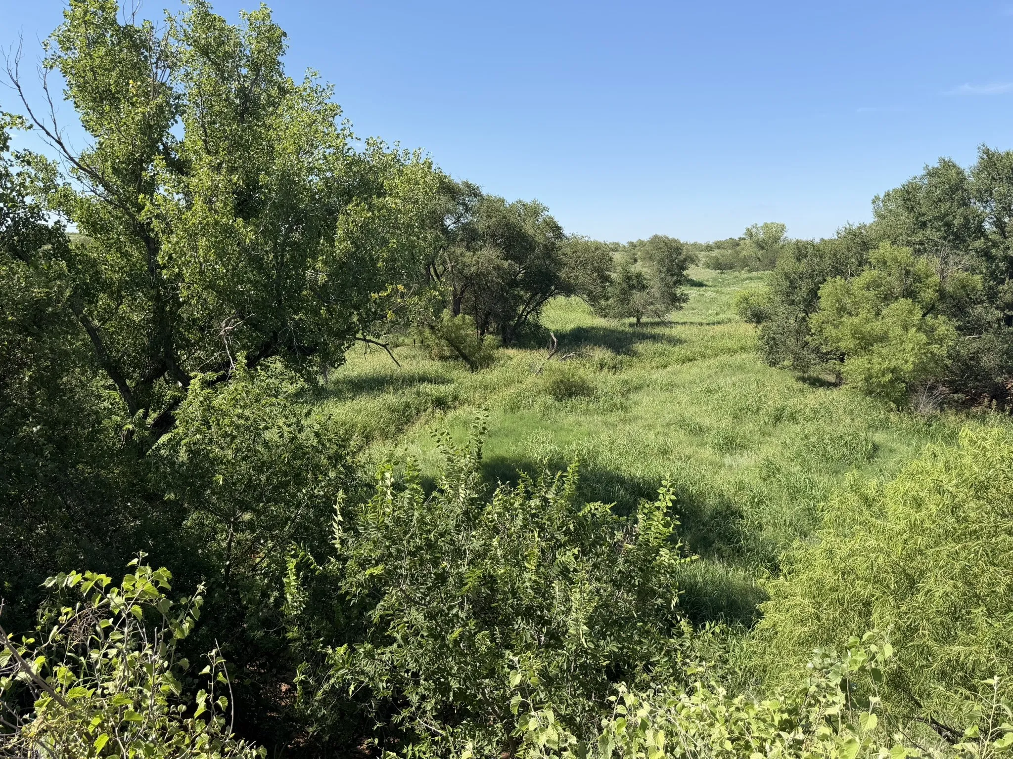 Ranch For Sale in Collingsworth County , 15400 County Road I, Wellington, Texas 79079, 0, 0, Garage spaces, 0 Sqft, built in 1930, mls#21335914, Real Estate Agent in Wellington, Homes For Sale in Collingsworth county, Homes For Sale in Wellington, Realtor in Wellington Texas, Real Estate Brokerage Independent Realty Texas, Luminita Cordes Realtor