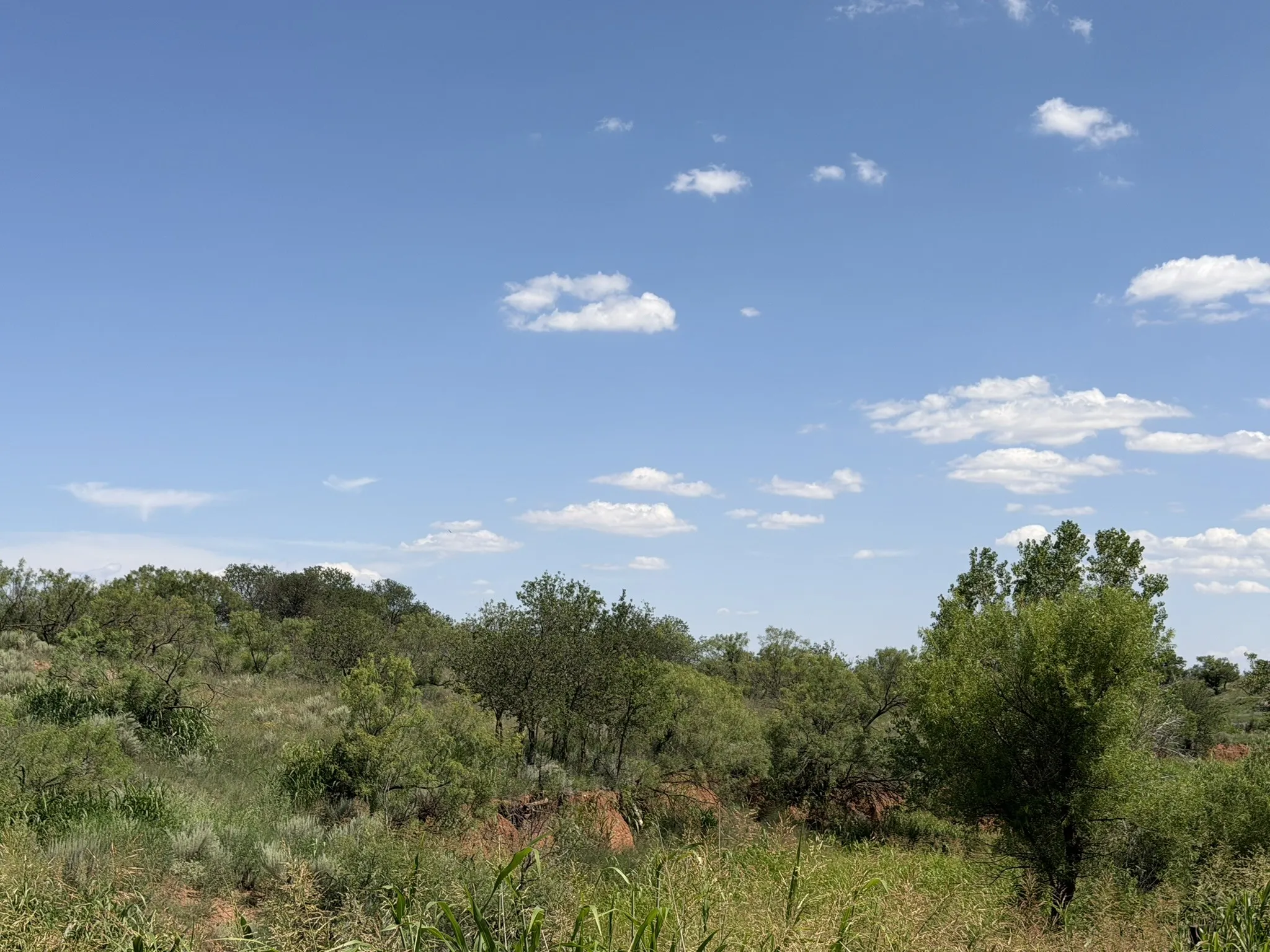 Ranch For Sale in Collingsworth County , 15400 County Road I, Wellington, Texas 79079, 0, 0, Garage spaces, 0 Sqft, built in 1930, mls#21335914, Real Estate Agent in Wellington, Homes For Sale in Collingsworth county, Homes For Sale in Wellington, Realtor in Wellington Texas, Real Estate Brokerage Independent Realty Texas, Luminita Cordes Realtor