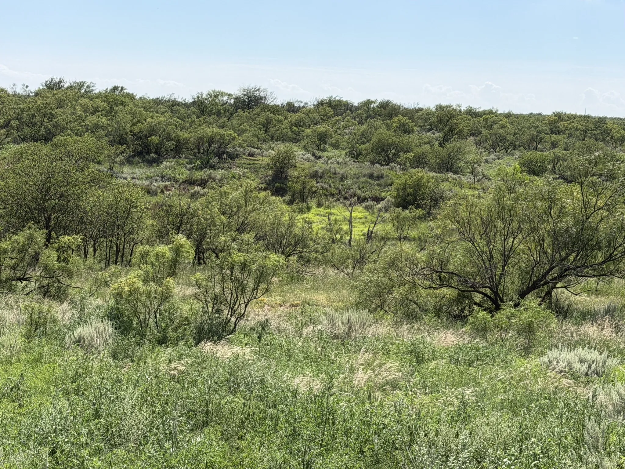 Ranch For Sale in Collingsworth County , 15400 County Road I, Wellington, Texas 79079, 0, 0, Garage spaces, 0 Sqft, built in 1930, mls#21335914, Real Estate Agent in Wellington, Homes For Sale in Collingsworth county, Homes For Sale in Wellington, Realtor in Wellington Texas, Real Estate Brokerage Independent Realty Texas, Luminita Cordes Realtor