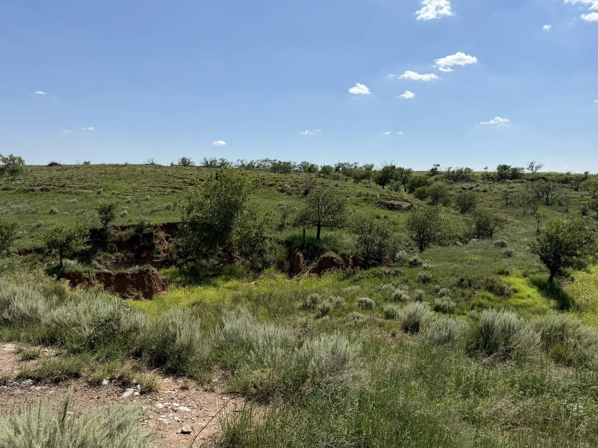 Ranch For Sale in Collingsworth County , 15400 County Road I, Wellington, Texas 79079, 0, 0, Garage spaces, 0 Sqft, built in 1930, mls#21335914, Real Estate Agent in Wellington, Homes For Sale in Collingsworth county, Homes For Sale in Wellington, Realtor in Wellington Texas, Real Estate Brokerage Independent Realty Texas, Luminita Cordes Realtor