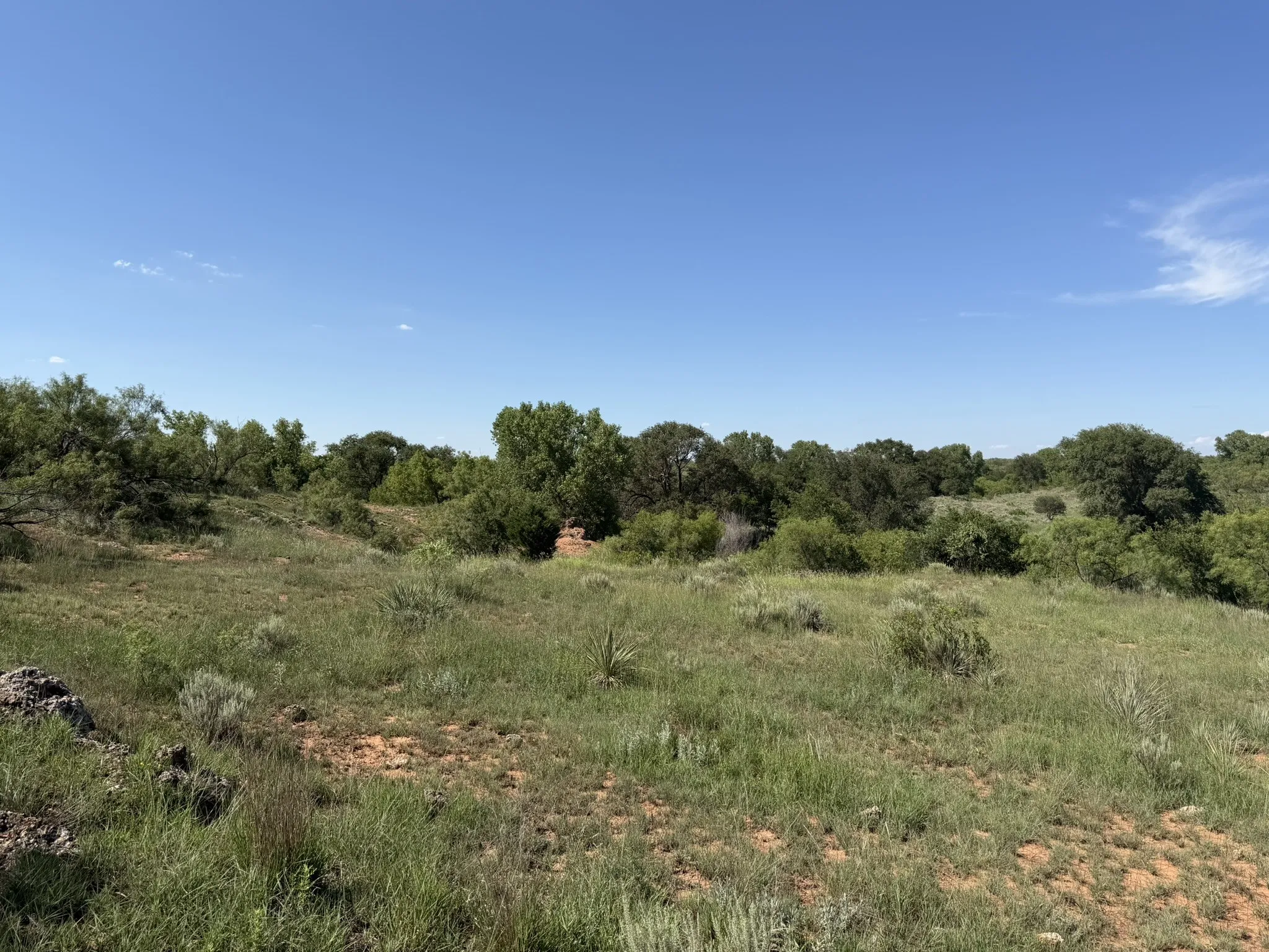 Ranch For Sale in Collingsworth County , 15400 County Road I, Wellington, Texas 79079, 0, 0, Garage spaces, 0 Sqft, built in 1930, mls#21335914, Real Estate Agent in Wellington, Homes For Sale in Collingsworth county, Homes For Sale in Wellington, Realtor in Wellington Texas, Real Estate Brokerage Independent Realty Texas, Luminita Cordes Realtor