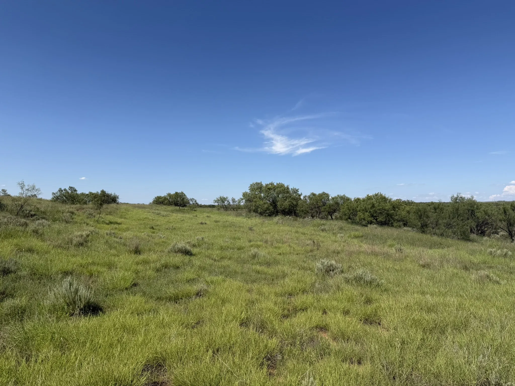 Ranch For Sale in Collingsworth County , 15400 County Road I, Wellington, Texas 79079, 0, 0, Garage spaces, 0 Sqft, built in 1930, mls#21335914, Real Estate Agent in Wellington, Homes For Sale in Collingsworth county, Homes For Sale in Wellington, Realtor in Wellington Texas, Real Estate Brokerage Independent Realty Texas, Luminita Cordes Realtor