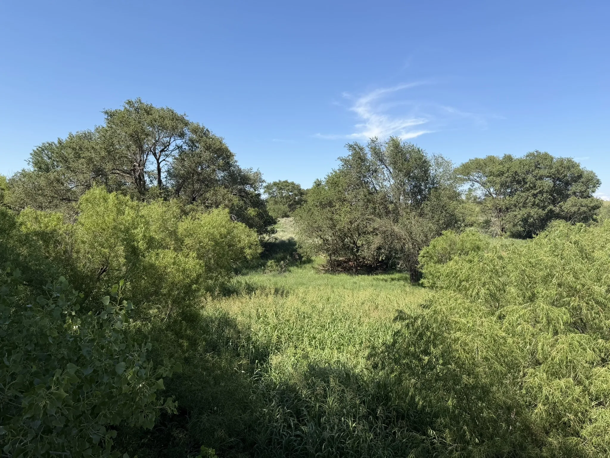 Ranch For Sale in Collingsworth County , 15400 County Road I, Wellington, Texas 79079, 0, 0, Garage spaces, 0 Sqft, built in 1930, mls#21335914, Real Estate Agent in Wellington, Homes For Sale in Collingsworth county, Homes For Sale in Wellington, Realtor in Wellington Texas, Real Estate Brokerage Independent Realty Texas, Luminita Cordes Realtor