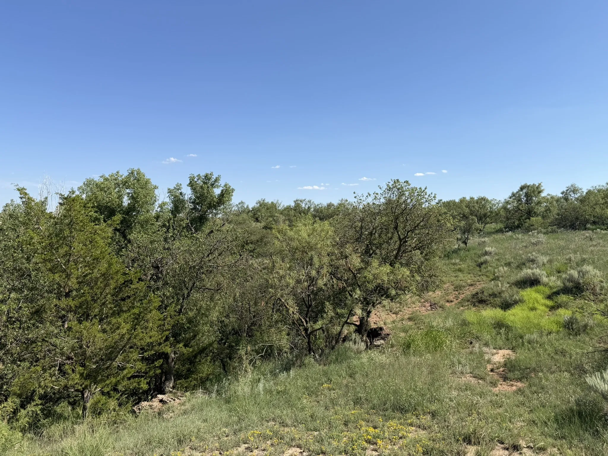Ranch For Sale in Collingsworth County , 15400 County Road I, Wellington, Texas 79079, 0, 0, Garage spaces, 0 Sqft, built in 1930, mls#21335914, Real Estate Agent in Wellington, Homes For Sale in Collingsworth county, Homes For Sale in Wellington, Realtor in Wellington Texas, Real Estate Brokerage Independent Realty Texas, Luminita Cordes Realtor