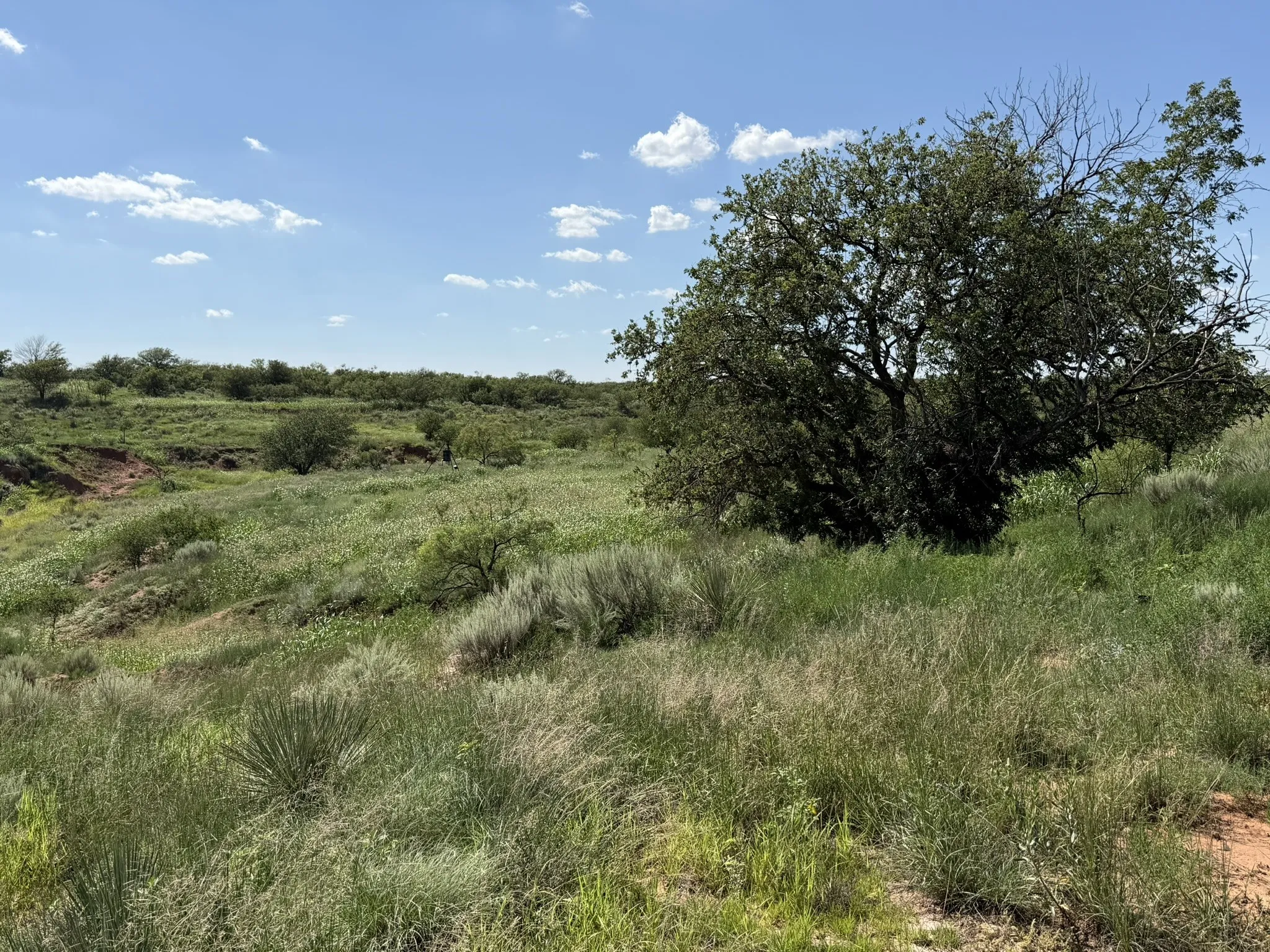 Ranch For Sale in Collingsworth County , 15400 County Road I, Wellington, Texas 79079, 0, 0, Garage spaces, 0 Sqft, built in 1930, mls#21335914, Real Estate Agent in Wellington, Homes For Sale in Collingsworth county, Homes For Sale in Wellington, Realtor in Wellington Texas, Real Estate Brokerage Independent Realty Texas, Luminita Cordes Realtor
