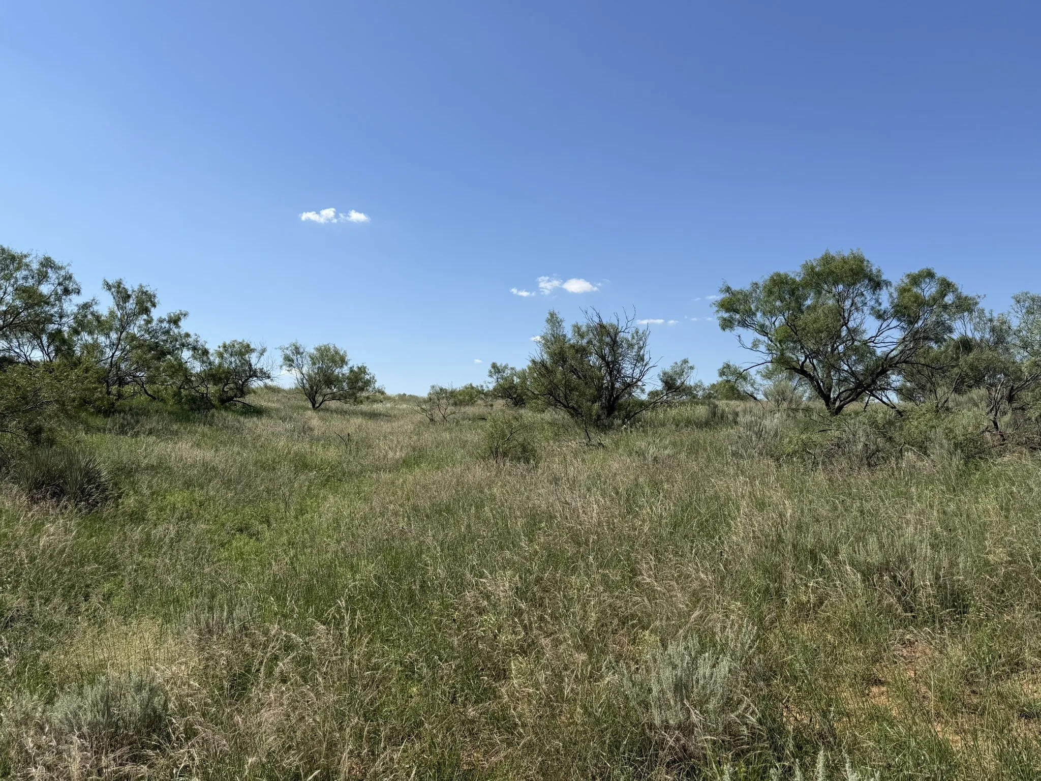 Ranch For Sale in Collingsworth County , 15400 County Road I, Wellington, Texas 79079, 0, 0, Garage spaces, 0 Sqft, built in 1930, mls#21335914, Real Estate Agent in Wellington, Homes For Sale in Collingsworth county, Homes For Sale in Wellington, Realtor in Wellington Texas, Real Estate Brokerage Independent Realty Texas, Luminita Cordes Realtor