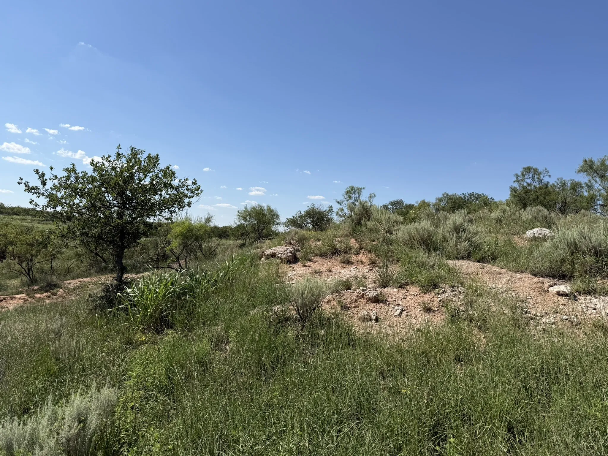 Ranch For Sale in Collingsworth County , 15400 County Road I, Wellington, Texas 79079, 0, 0, Garage spaces, 0 Sqft, built in 1930, mls#21335914, Real Estate Agent in Wellington, Homes For Sale in Collingsworth county, Homes For Sale in Wellington, Realtor in Wellington Texas, Real Estate Brokerage Independent Realty Texas, Luminita Cordes Realtor