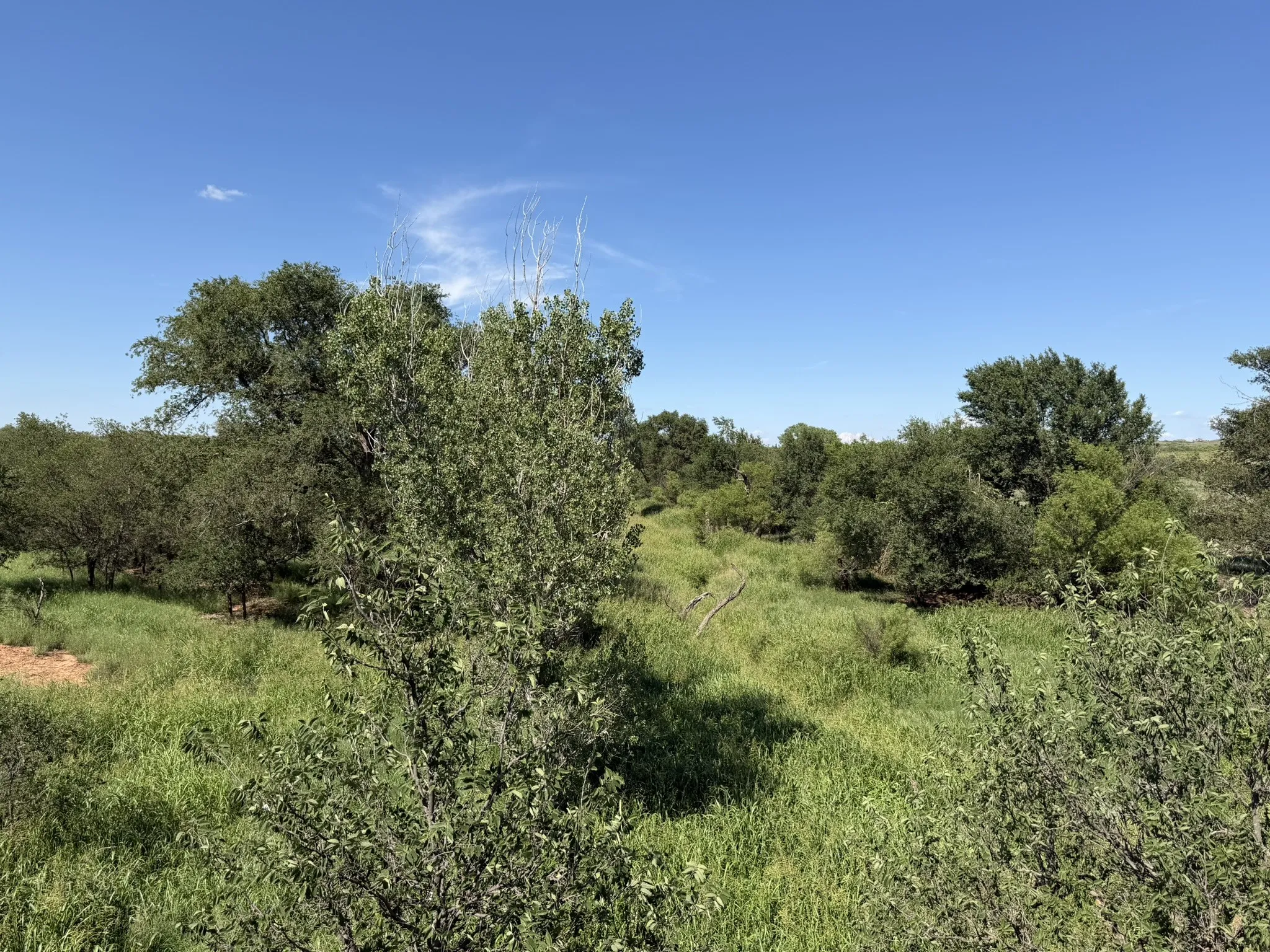 Ranch For Sale in Collingsworth County , 15400 County Road I, Wellington, Texas 79079, 0, 0, Garage spaces, 0 Sqft, built in 1930, mls#21335914, Real Estate Agent in Wellington, Homes For Sale in Collingsworth county, Homes For Sale in Wellington, Realtor in Wellington Texas, Real Estate Brokerage Independent Realty Texas, Luminita Cordes Realtor