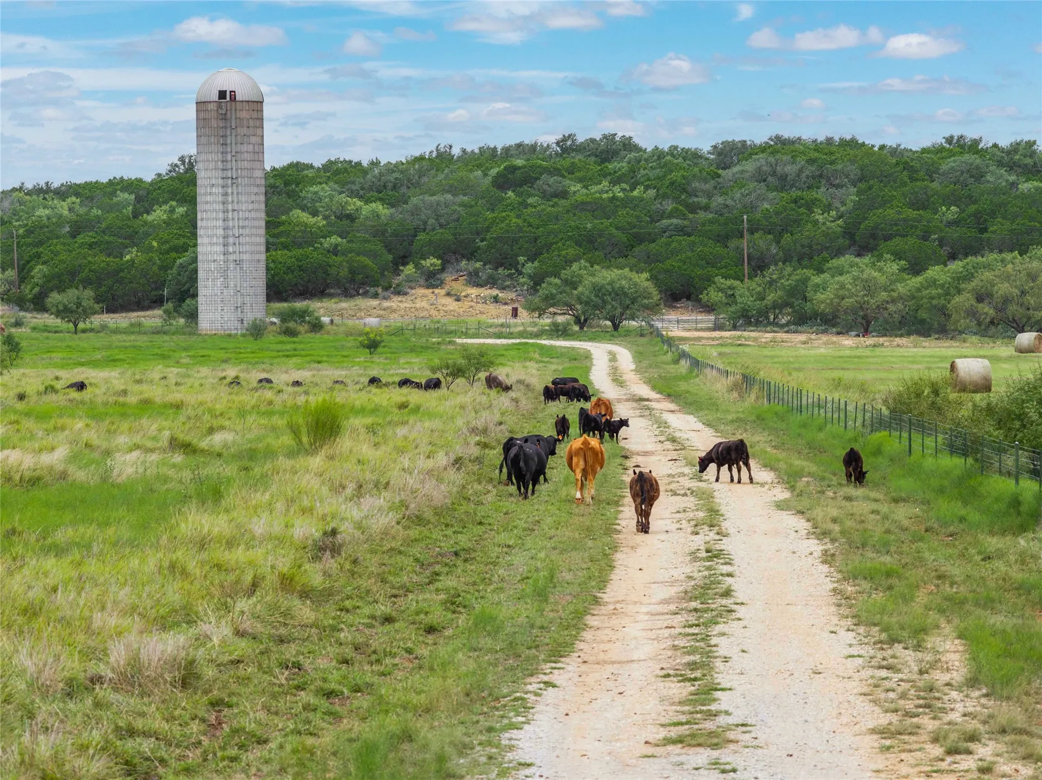 Farm For Sale in Coleman County , 5567 FM 2633, Santa Anna, Texas 76878, 4 Bedroom, 3 Bathroom, 4 Garage spaces, 2,611 Sqft, built in 1996, mls#21332572, Real Estate Agent in Santa Anna, Homes For Sale in Coleman county, Homes For Sale in Santa Anna, Realtor in Santa Anna Texas, Real Estate Brokerage Independent Realty Texas, Luminita Cordes Realtor