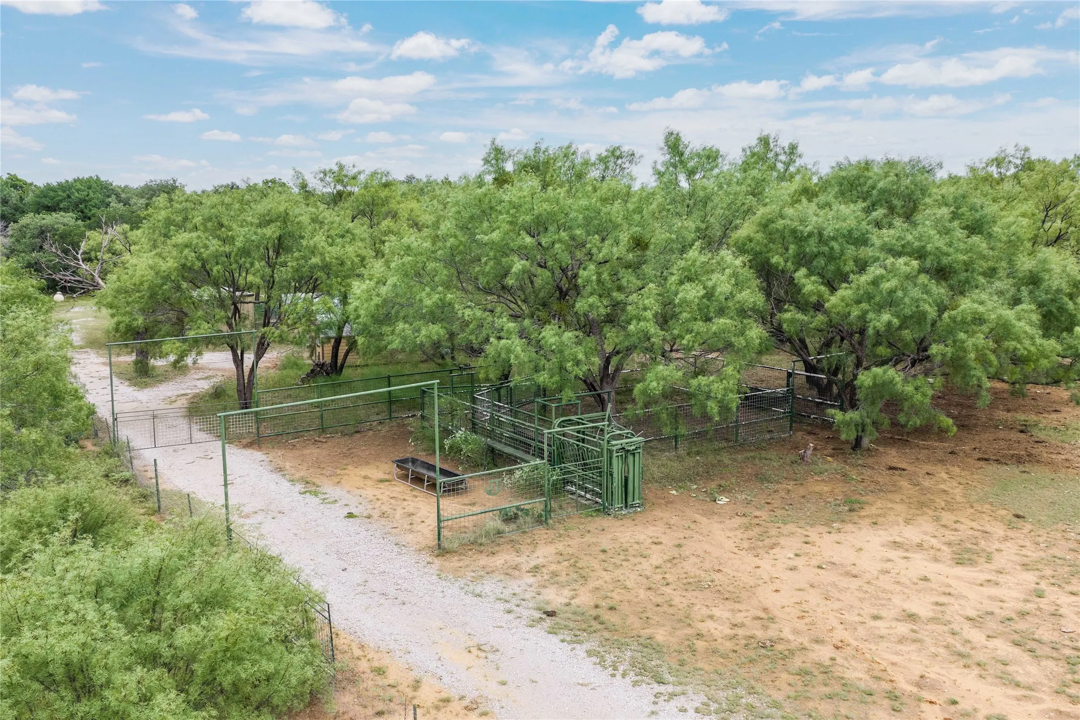 Cattle pens