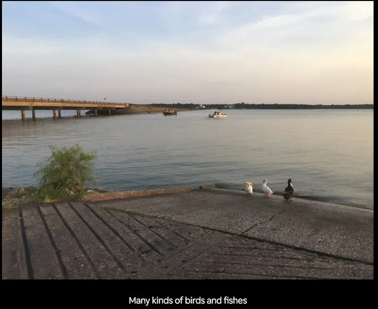 Single Family Residence For Rent in Hunt County , 9856 Cherokee Trail, Quinlan, Texas 75474, 4 Bedroom, 2 Bathroom, 2 Garage spaces, 1,835 Sqft, built in 2002, mls#21336059, Real Estate Agent in Quinlan, Homes For Rent in Hunt county, Homes For Rent in Quinlan, Realtor in Quinlan Texas, Real Estate Brokerage Independent Realty Texas, Luminita Cordes Realtor