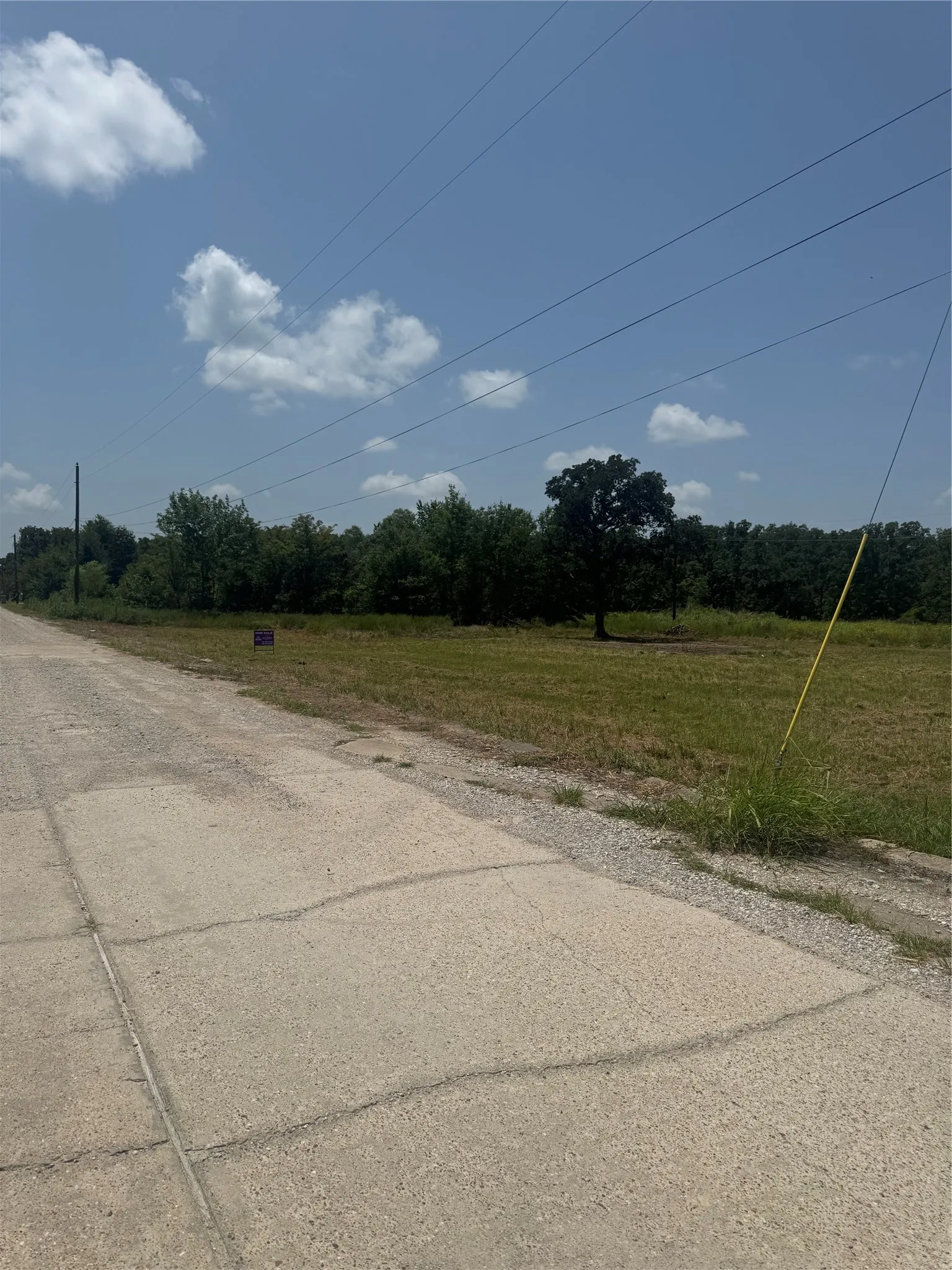 Expansive undeveloped land featuring a concrete road frontage and mature trees in the background