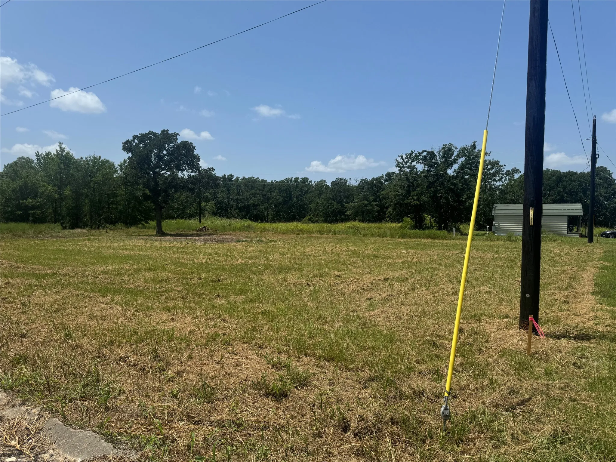 Expansive grassy lot with scattered trees and a clear sky backdrop