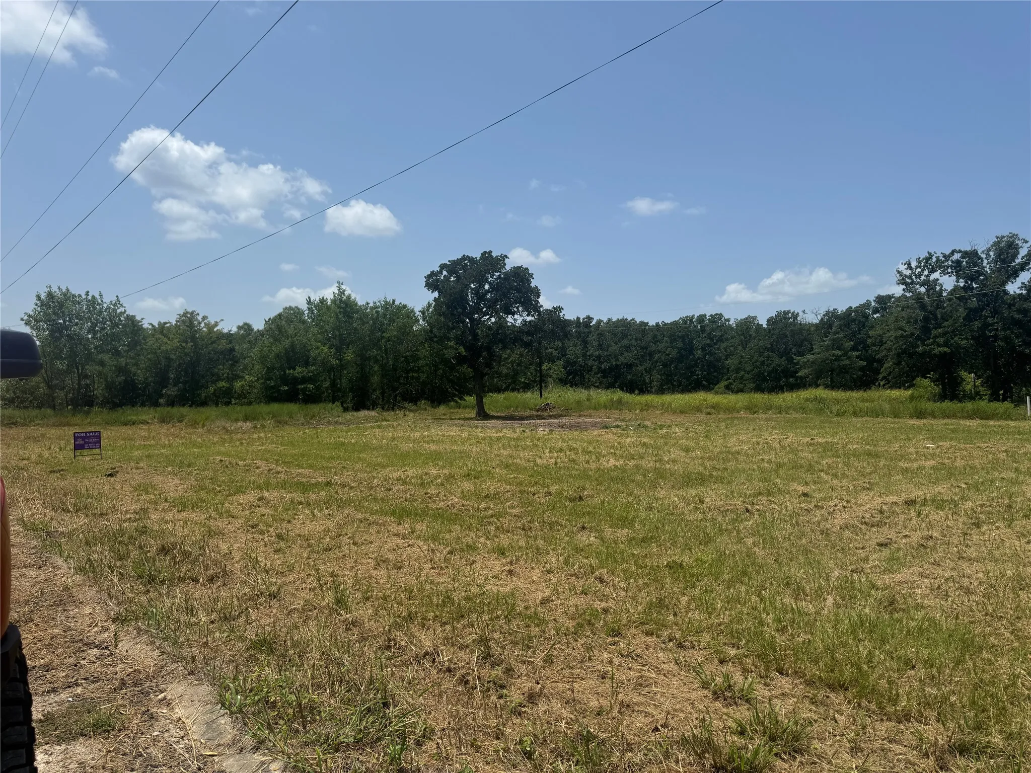 Expansive cleared lot featuring partial tree coverage