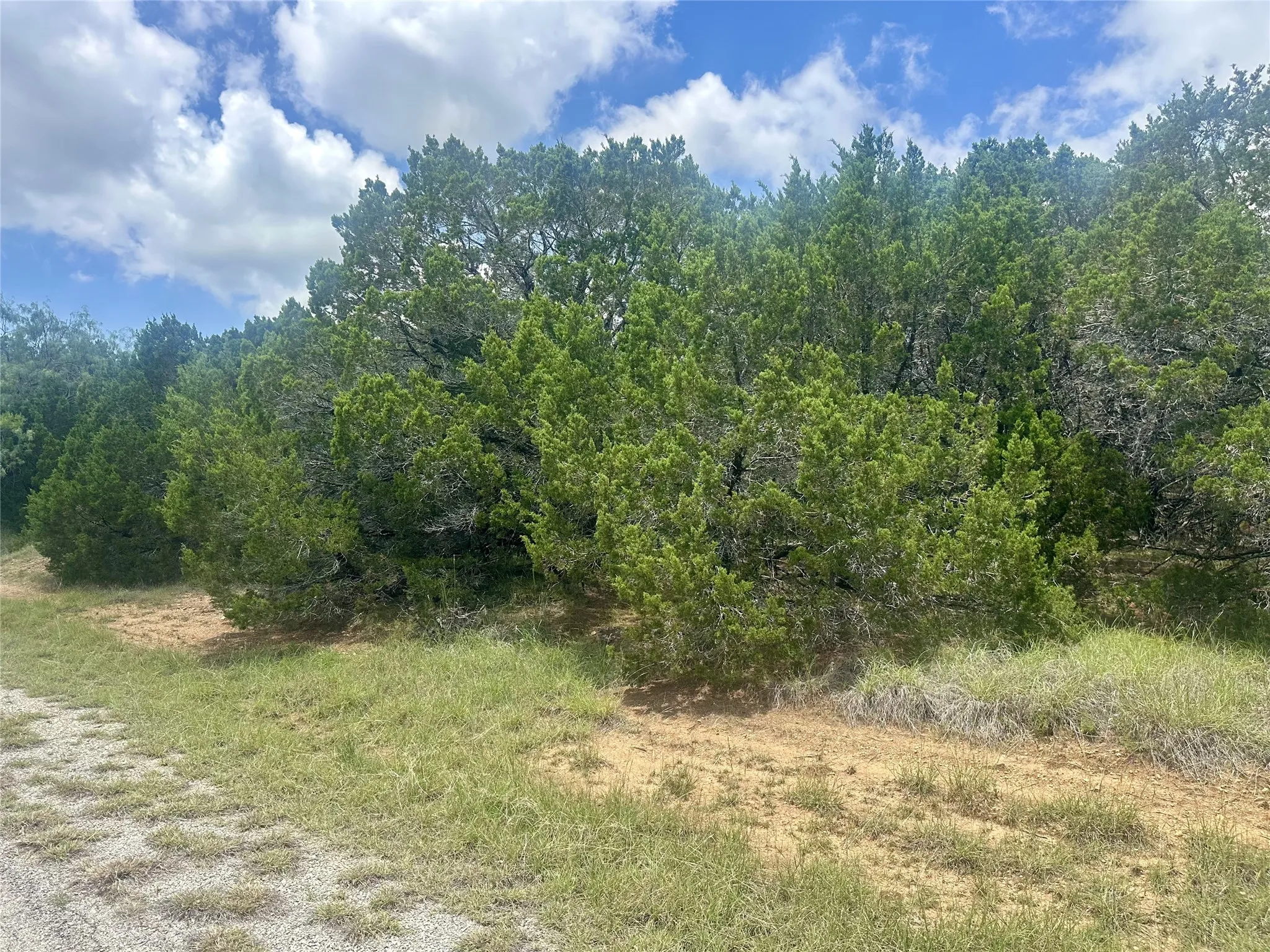 Unimproved Land For Sale in Hill County , 25058 Forrest Drive, Whitney, Texas 76692, 0, 0, Garage spaces, 0 Sqft, built in 0, Price $13,500, mls#21332469, Real Estate Agent in Whitney, Homes For Sale in Hill county, Homes For Sale in Whitney, Realtor in Whitney Texas, Real Estate Brokerage Independent Realty Texas, Luminita Cordes Realtor